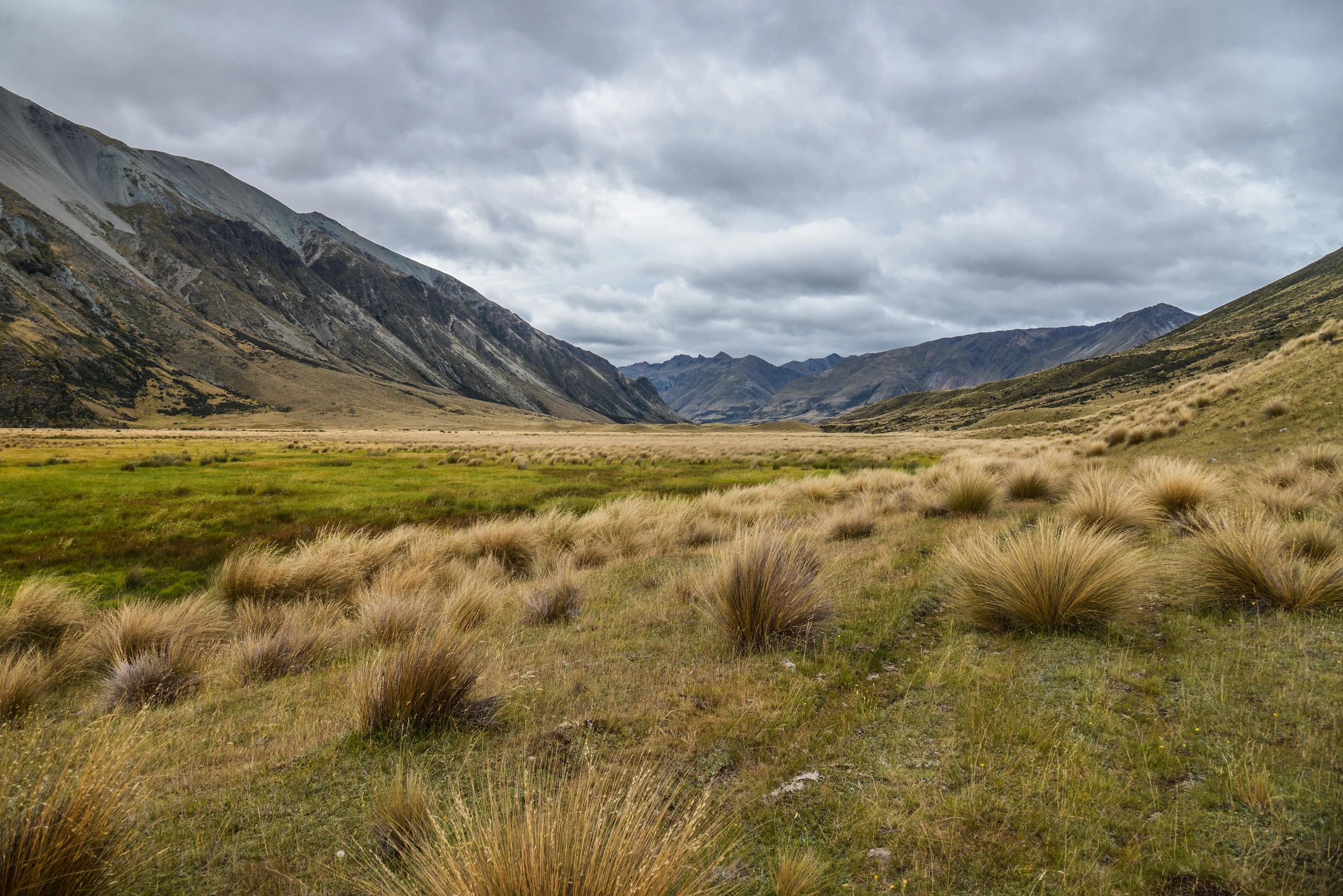 NZ-219.jpg