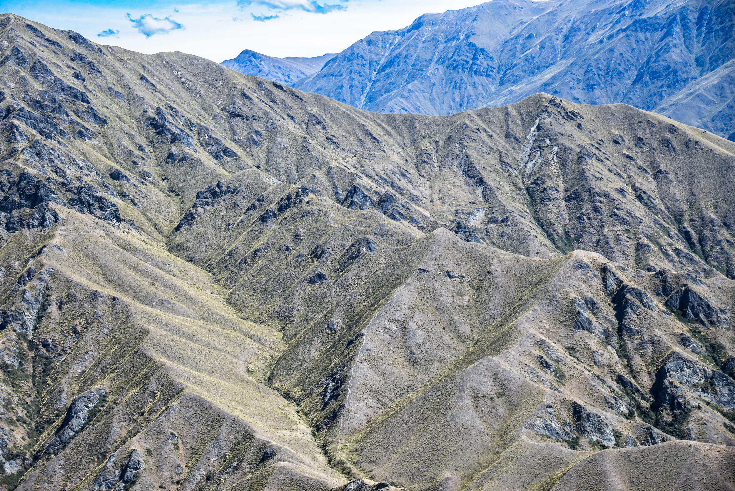 NZ-207.jpg