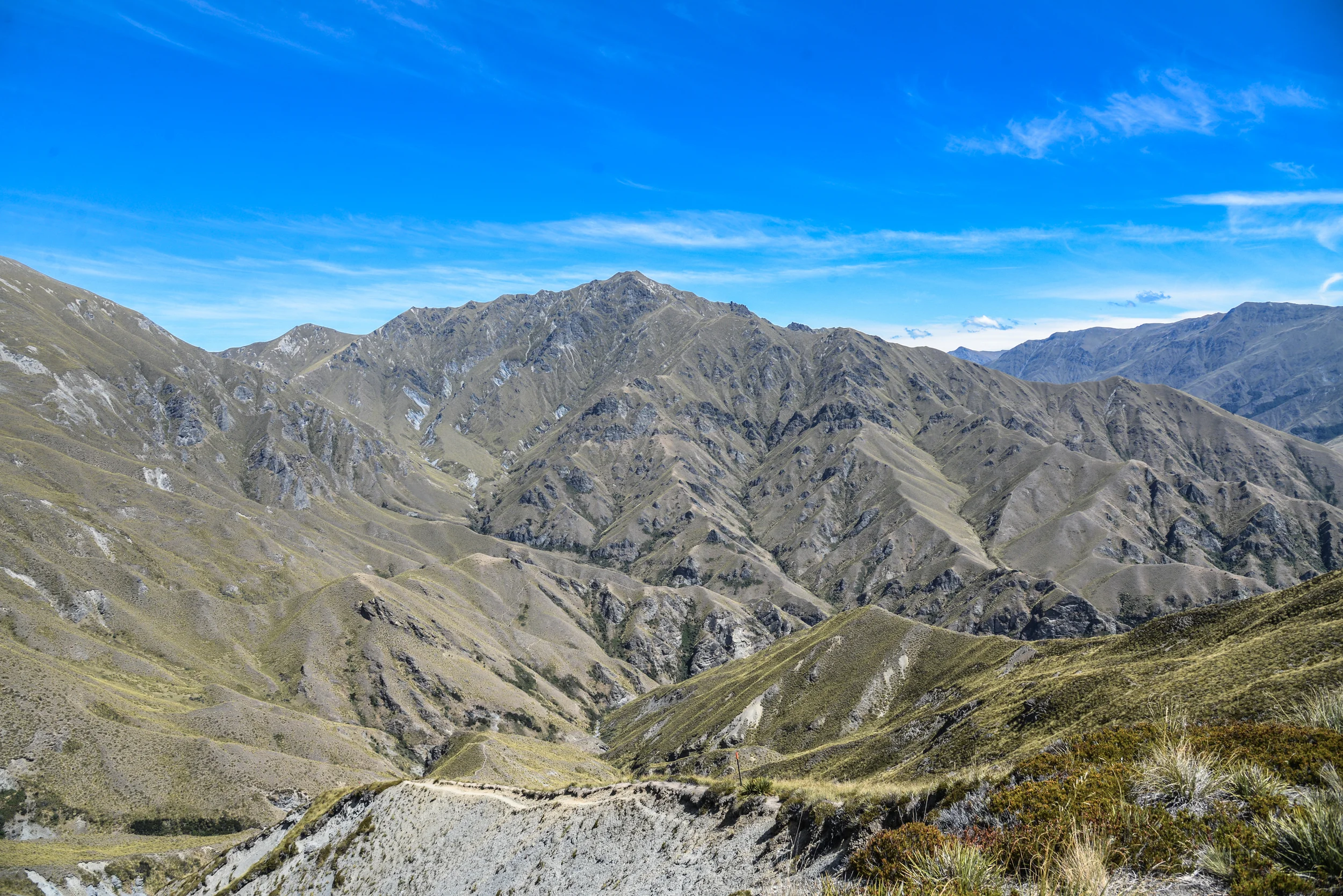 NZ-206.jpg