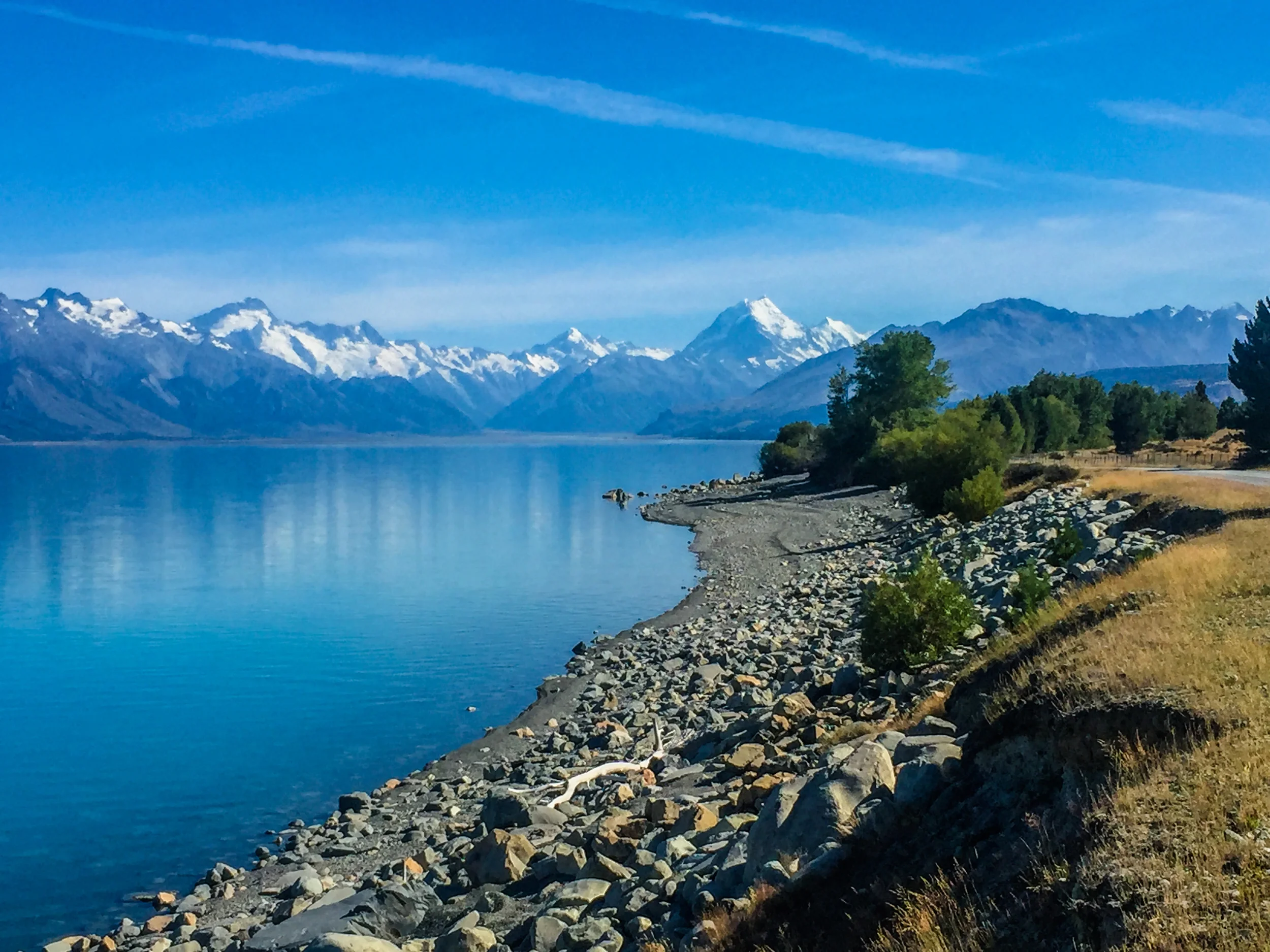 NZ-189.jpg