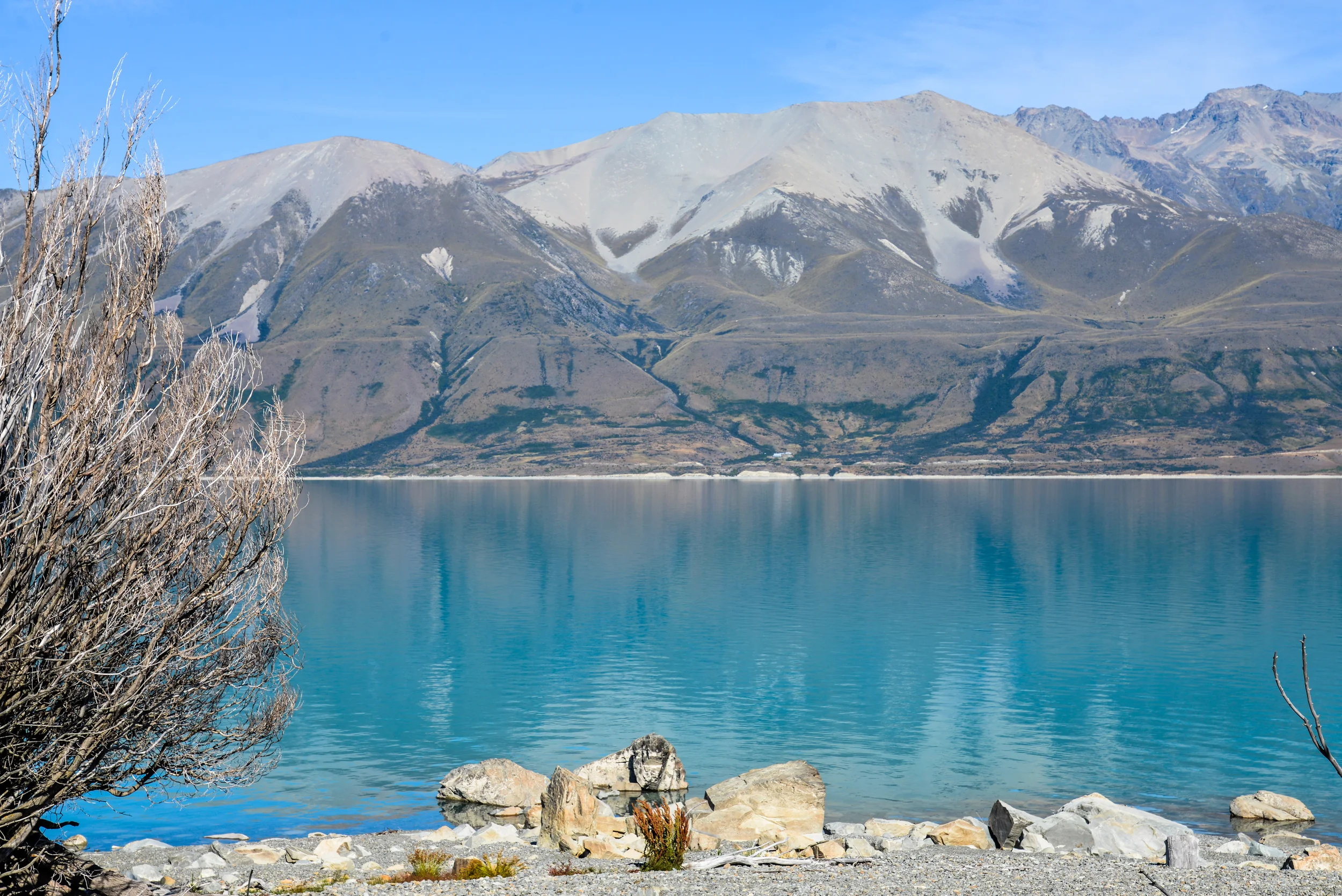 NZ-184.jpg