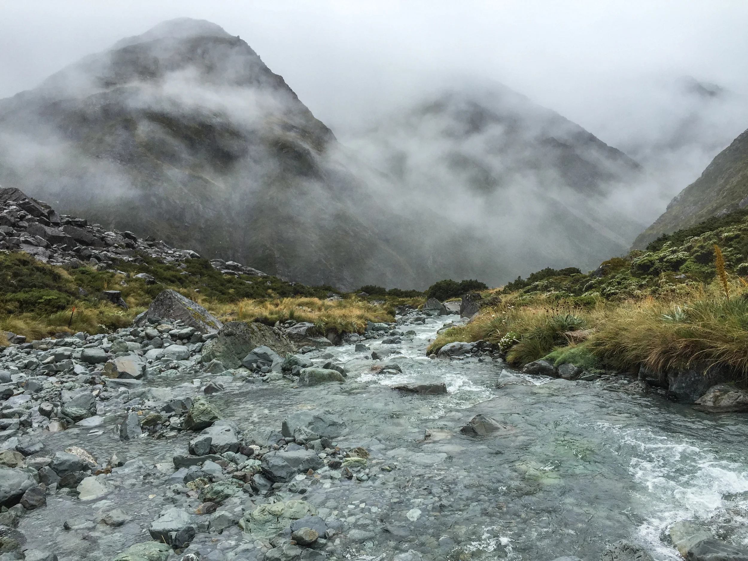 NZ-150.jpg