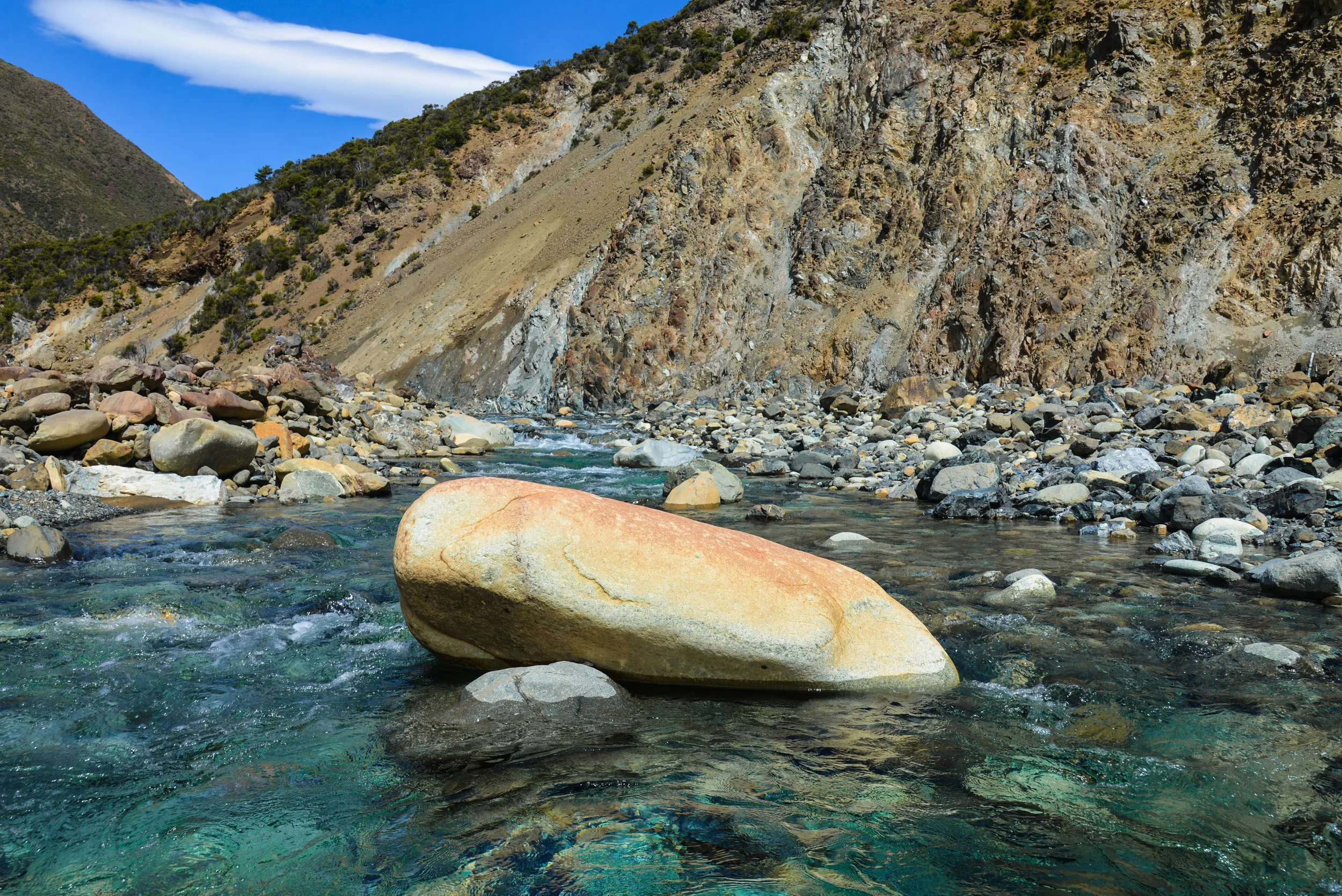 NZ-139.jpg