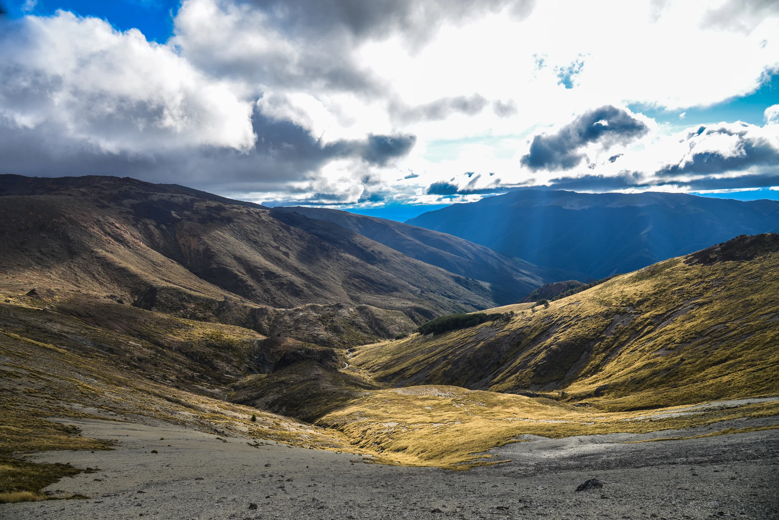NZ-133.jpg