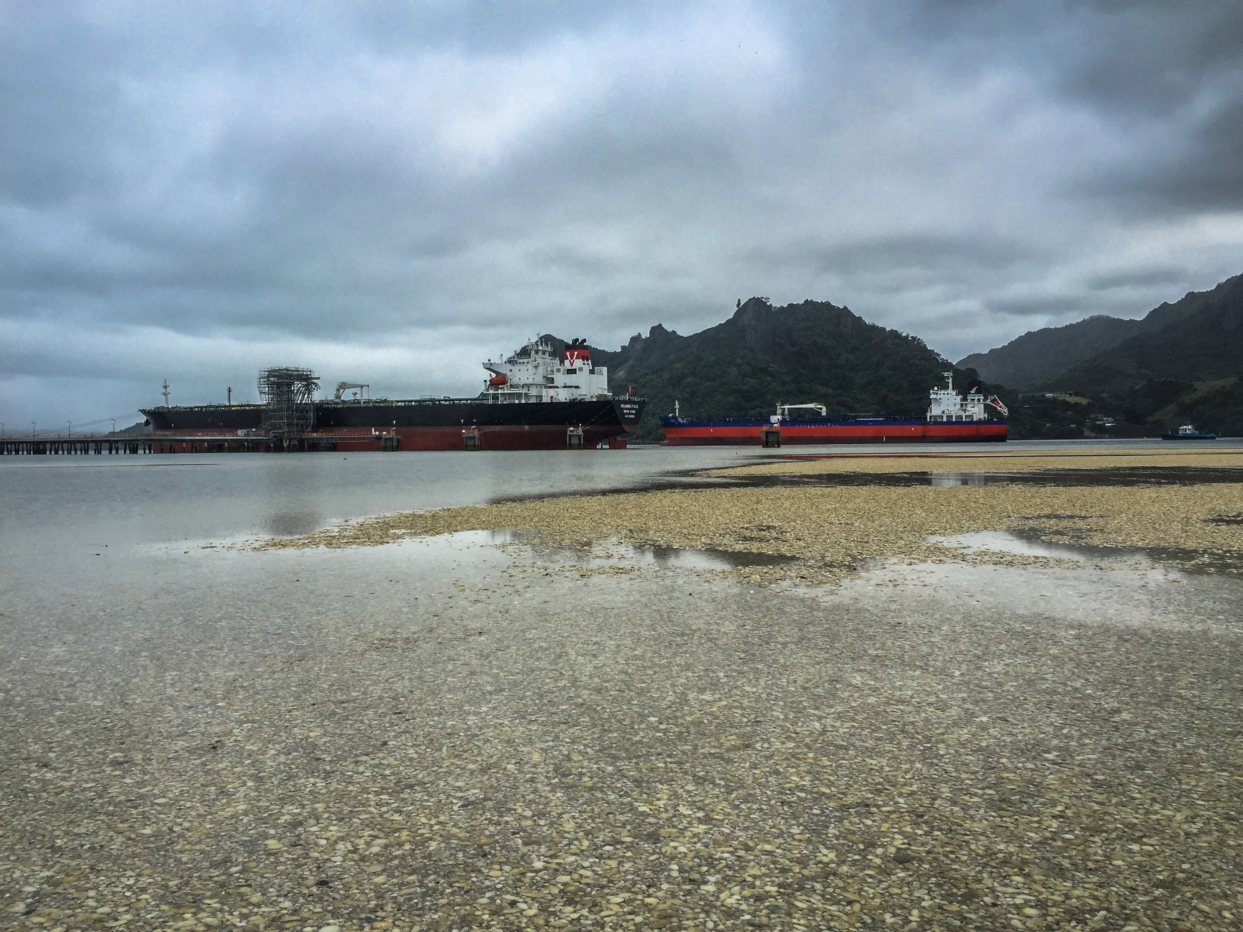 NZ-27.jpg