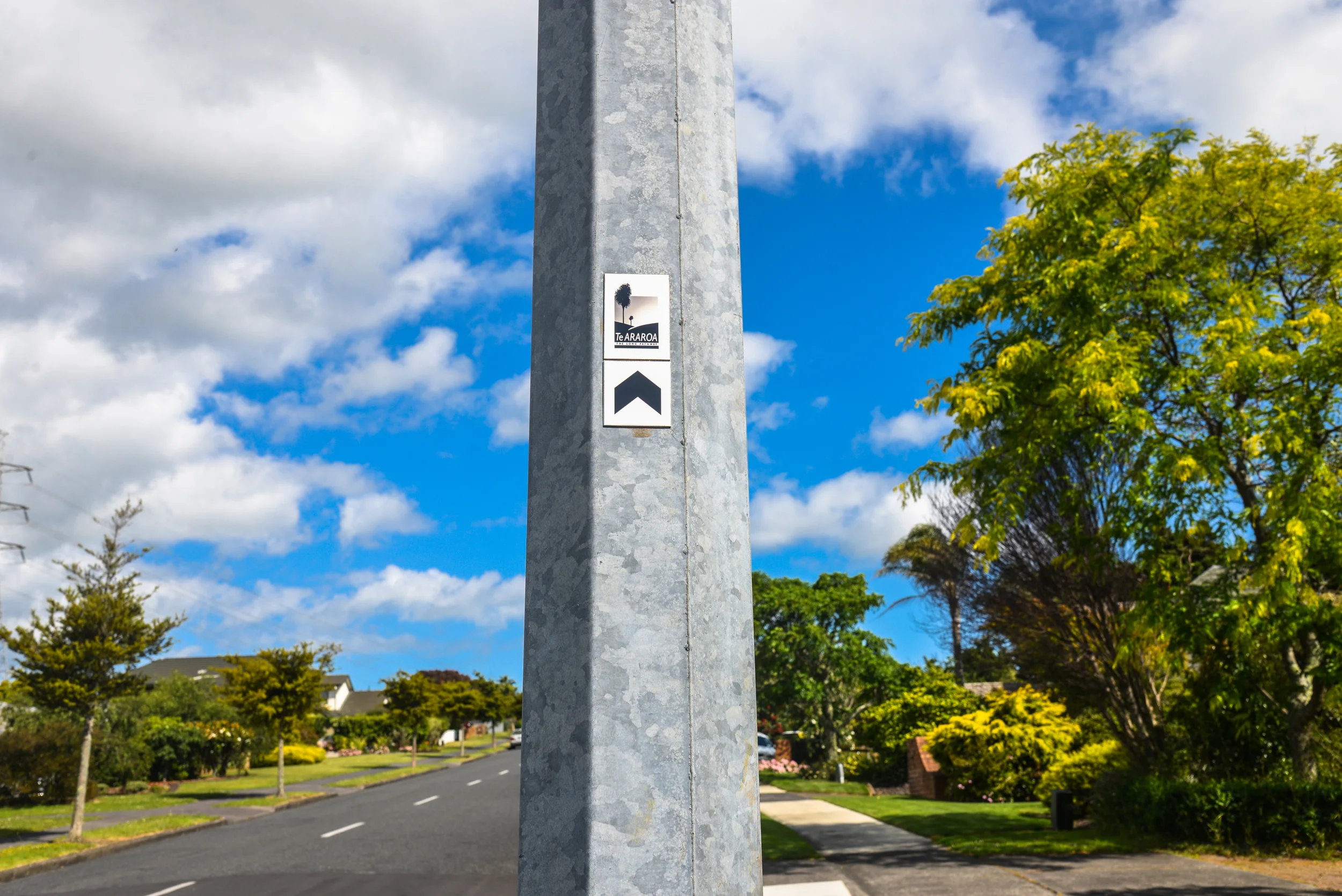 NZ-39.jpg