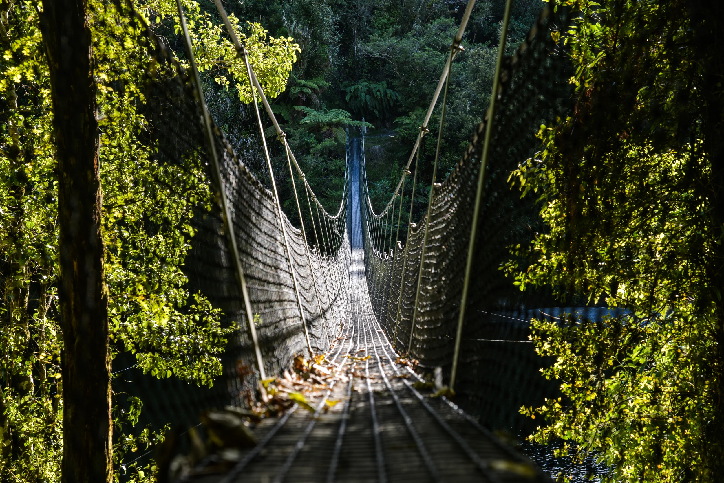 NZ-91.jpg