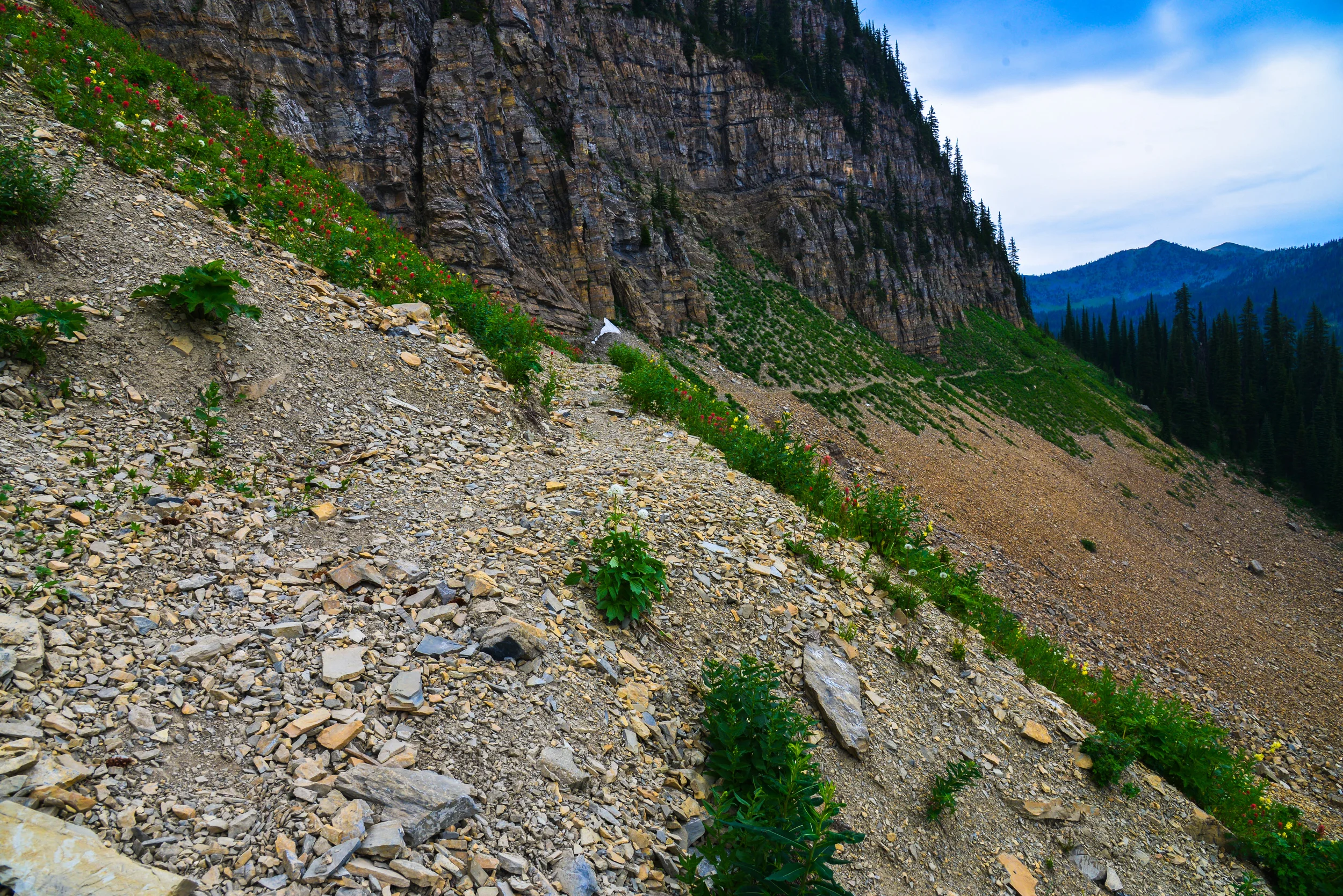 DSC_2153.jpg