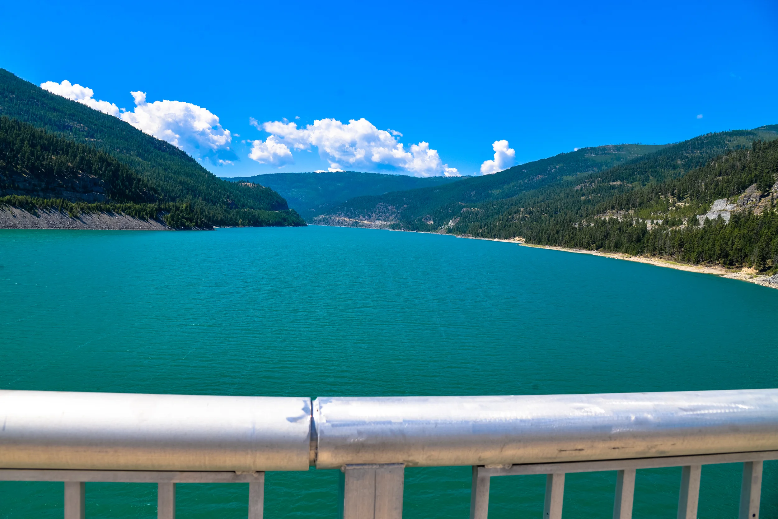 DSC_2164.jpg