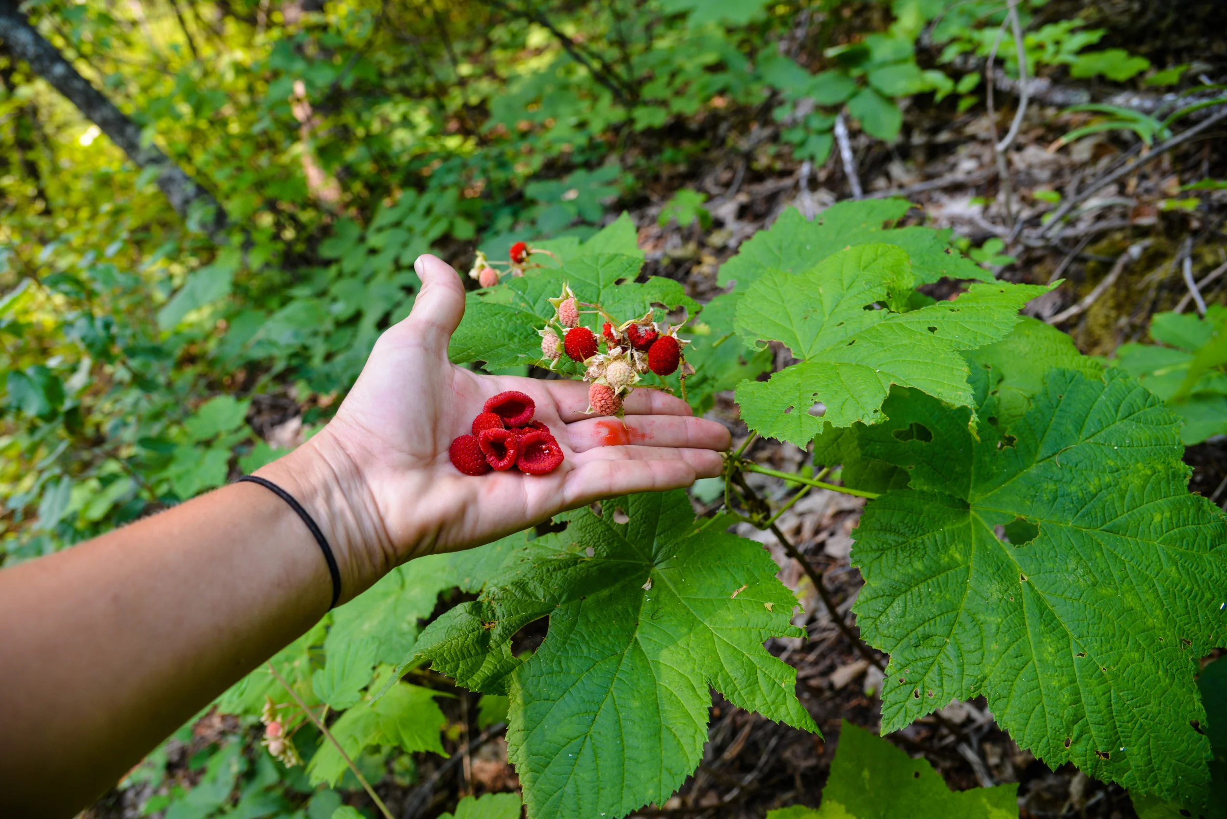 DSC_2281.jpg