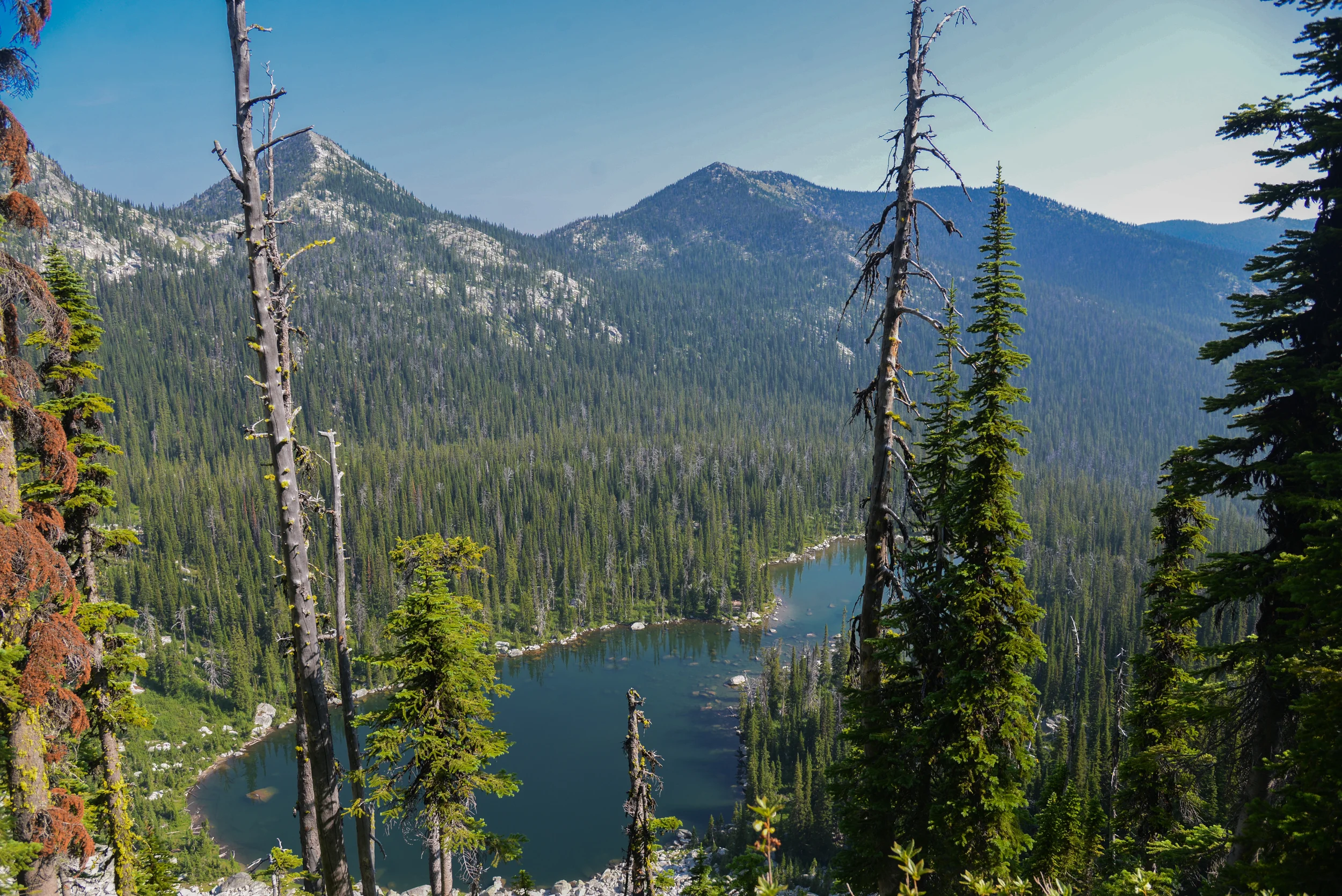 DSC_2332.jpg