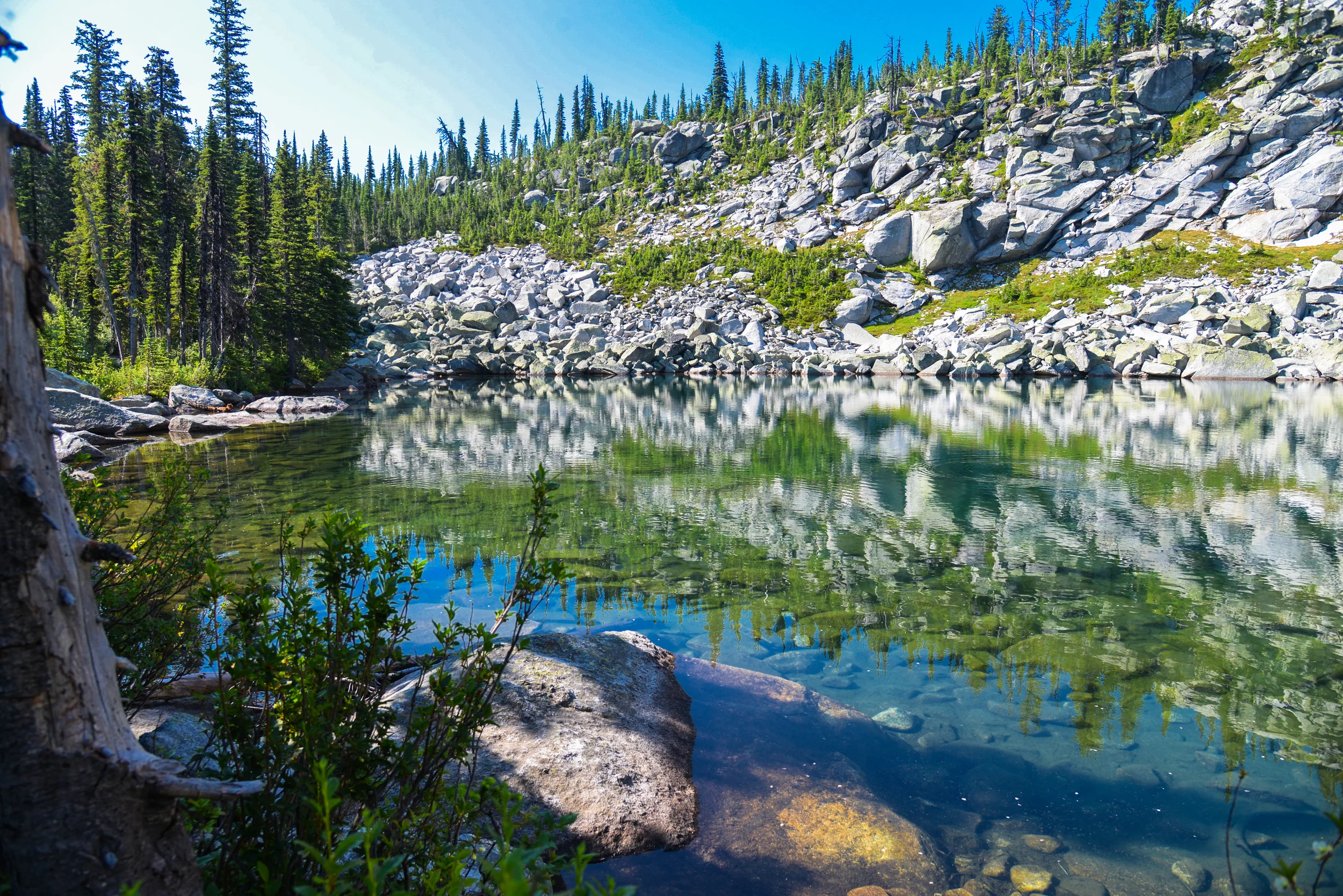 DSC_2334.jpg