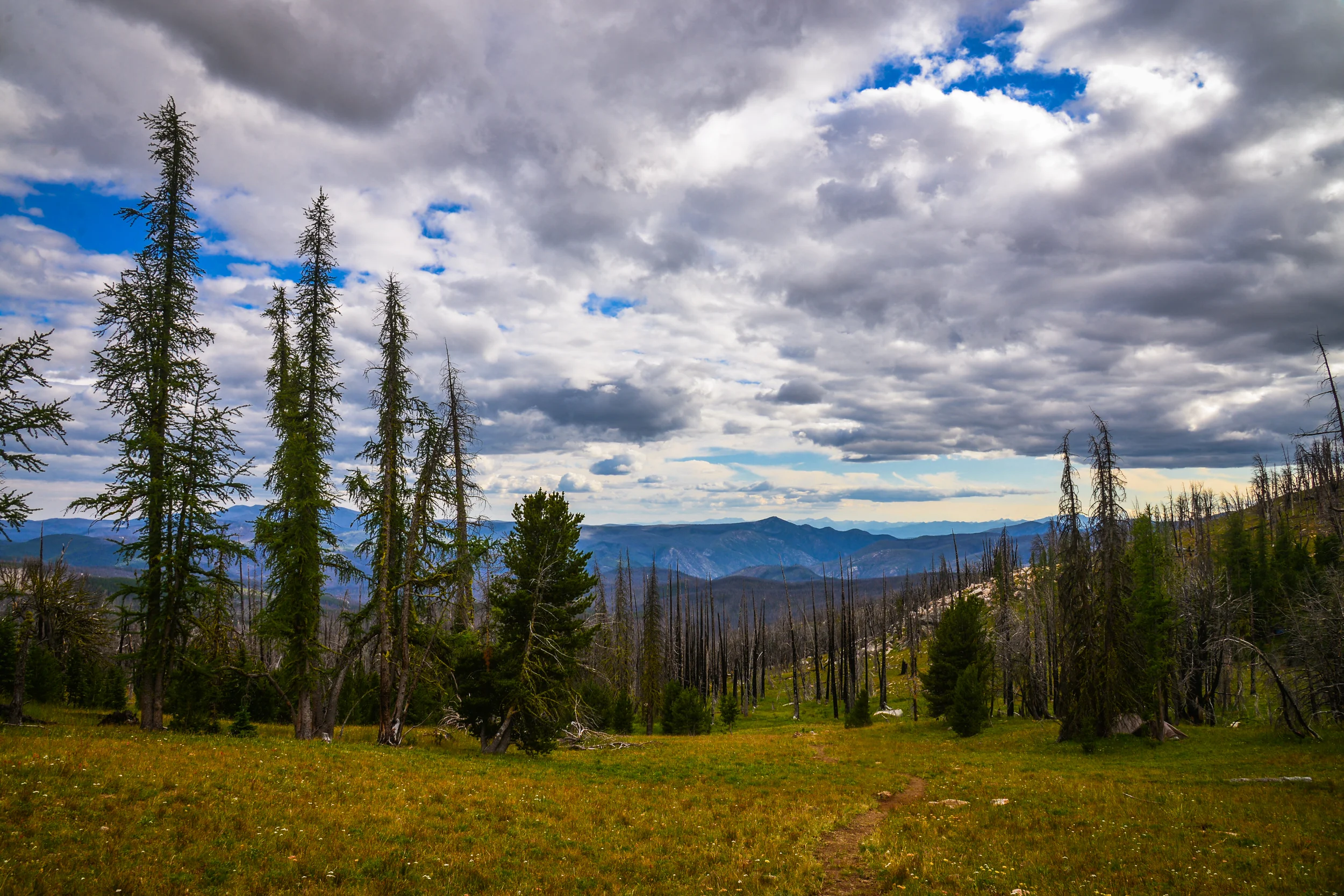 DSC_2606.jpg