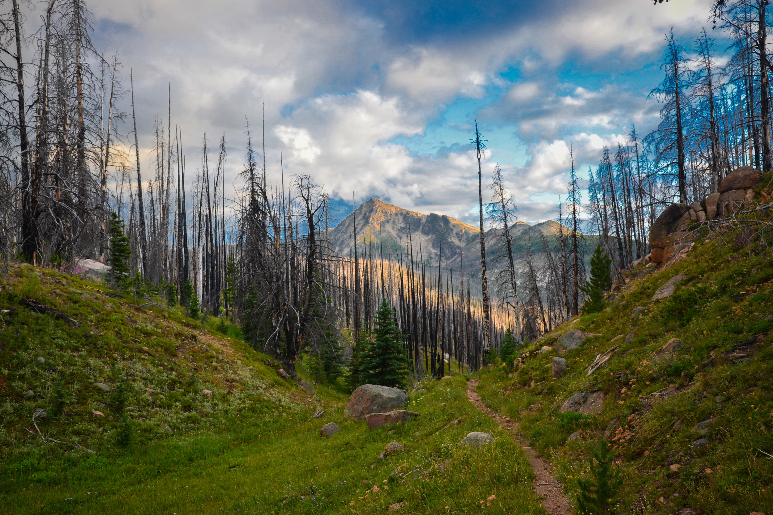 DSC_2665.jpg