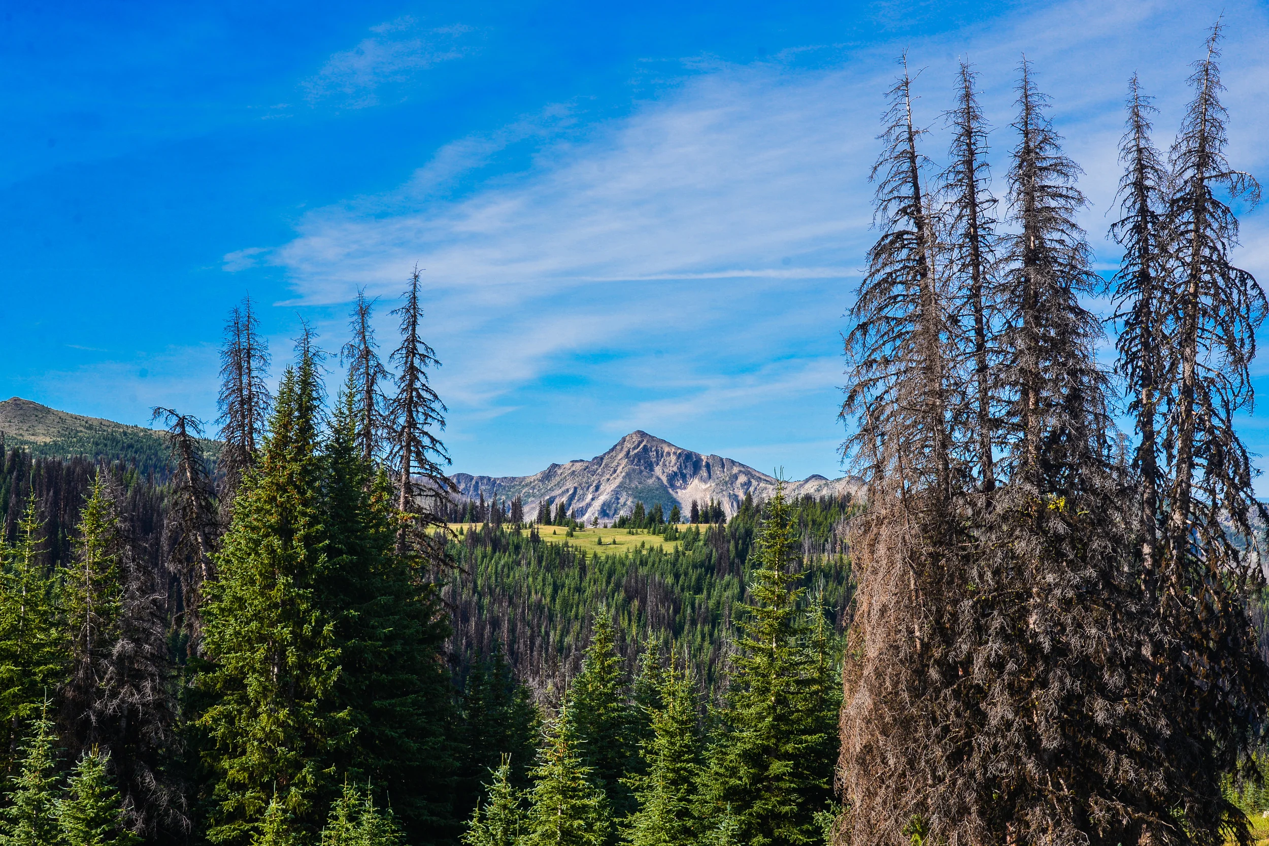 DSC_2715.jpg