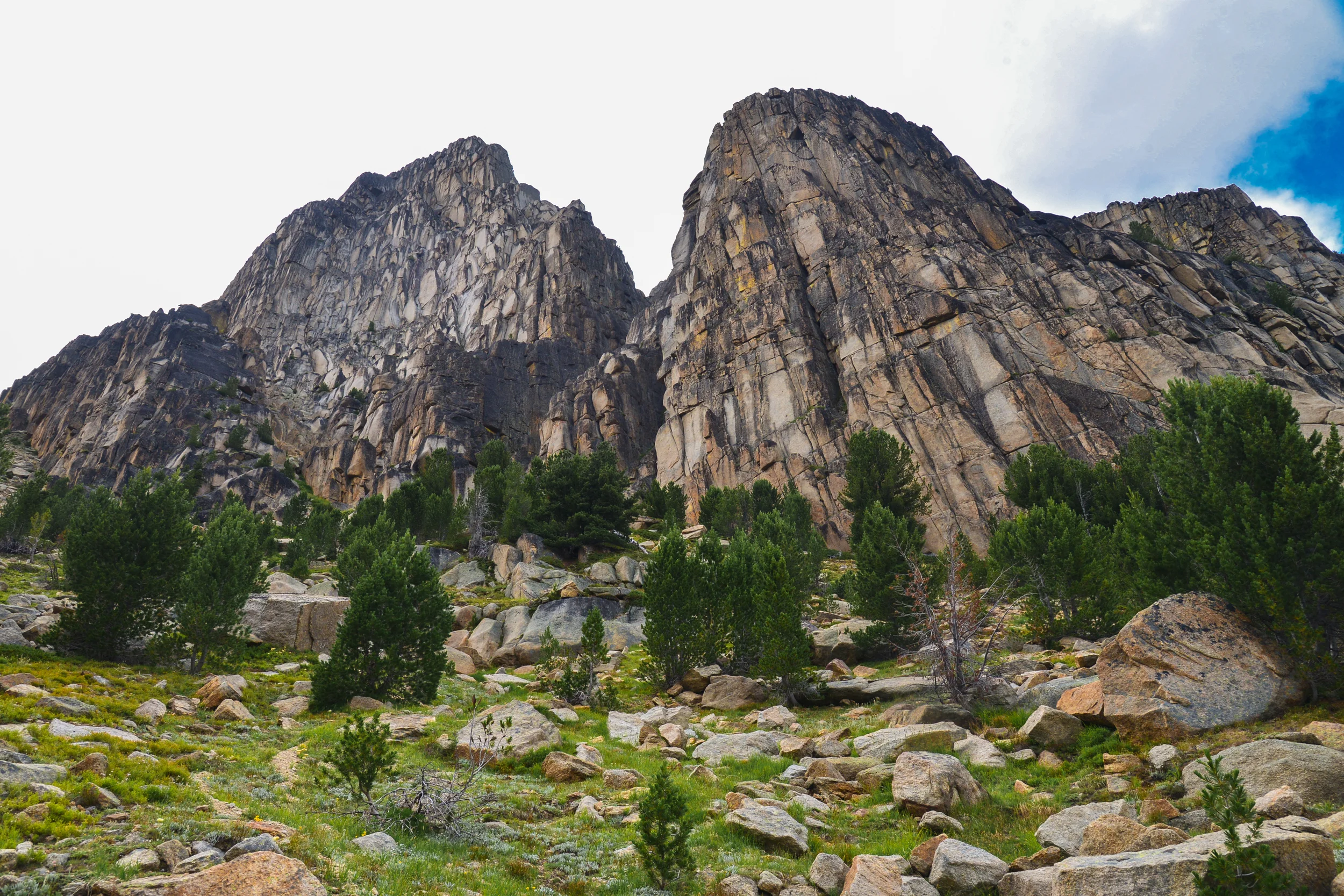 DSC_2772.jpg