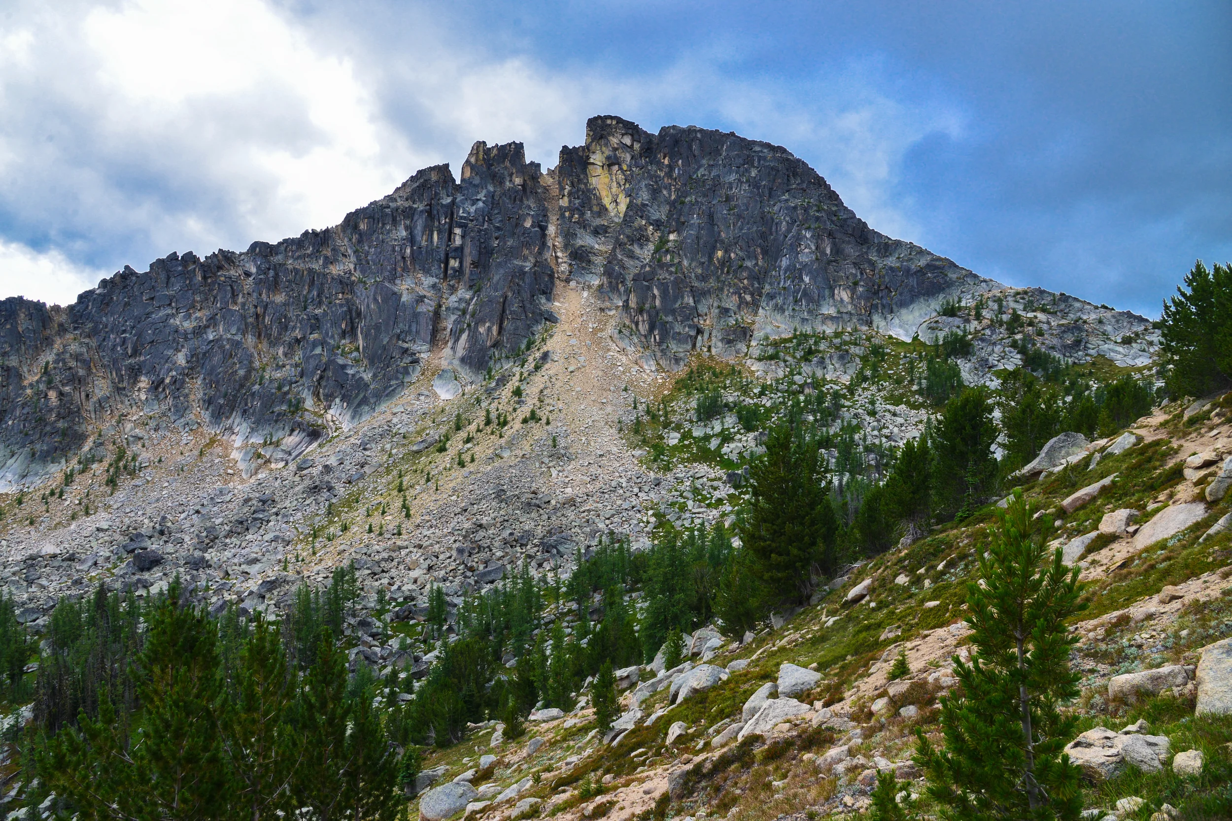 DSC_2775.jpg