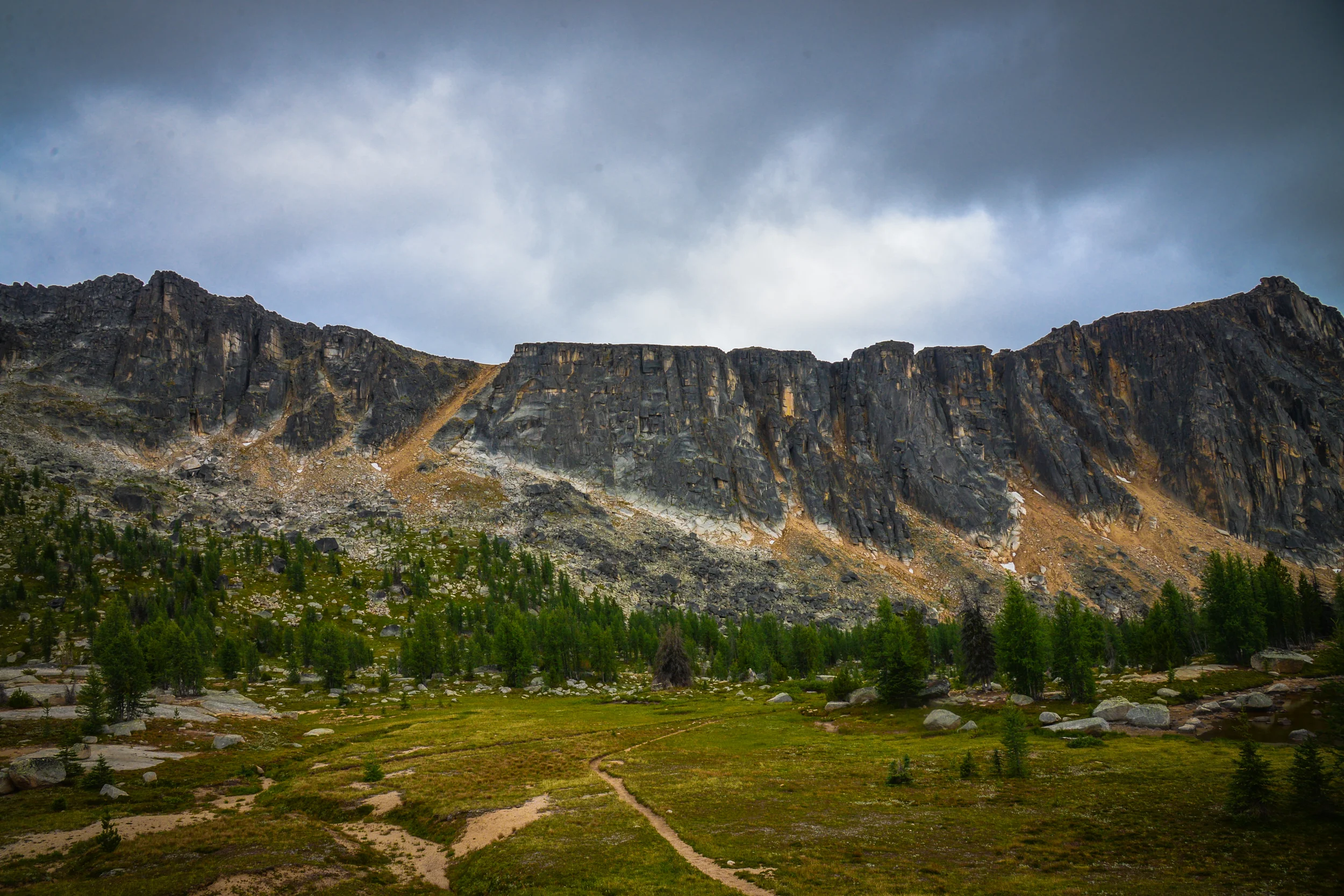DSC_2778.jpg
