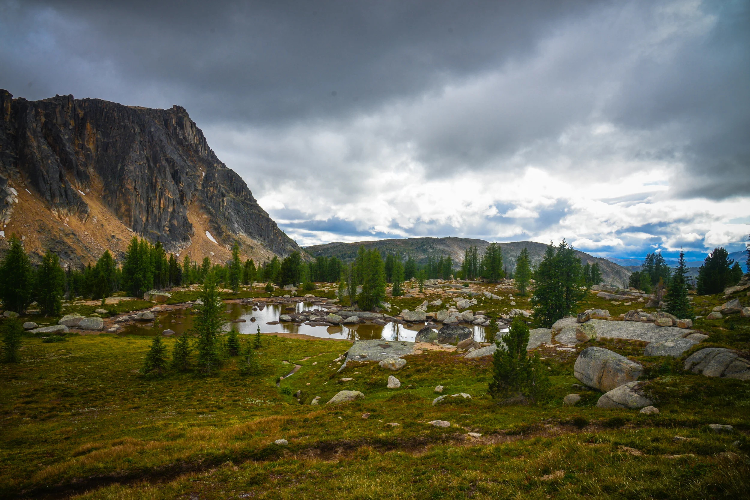 DSC_2779.jpg