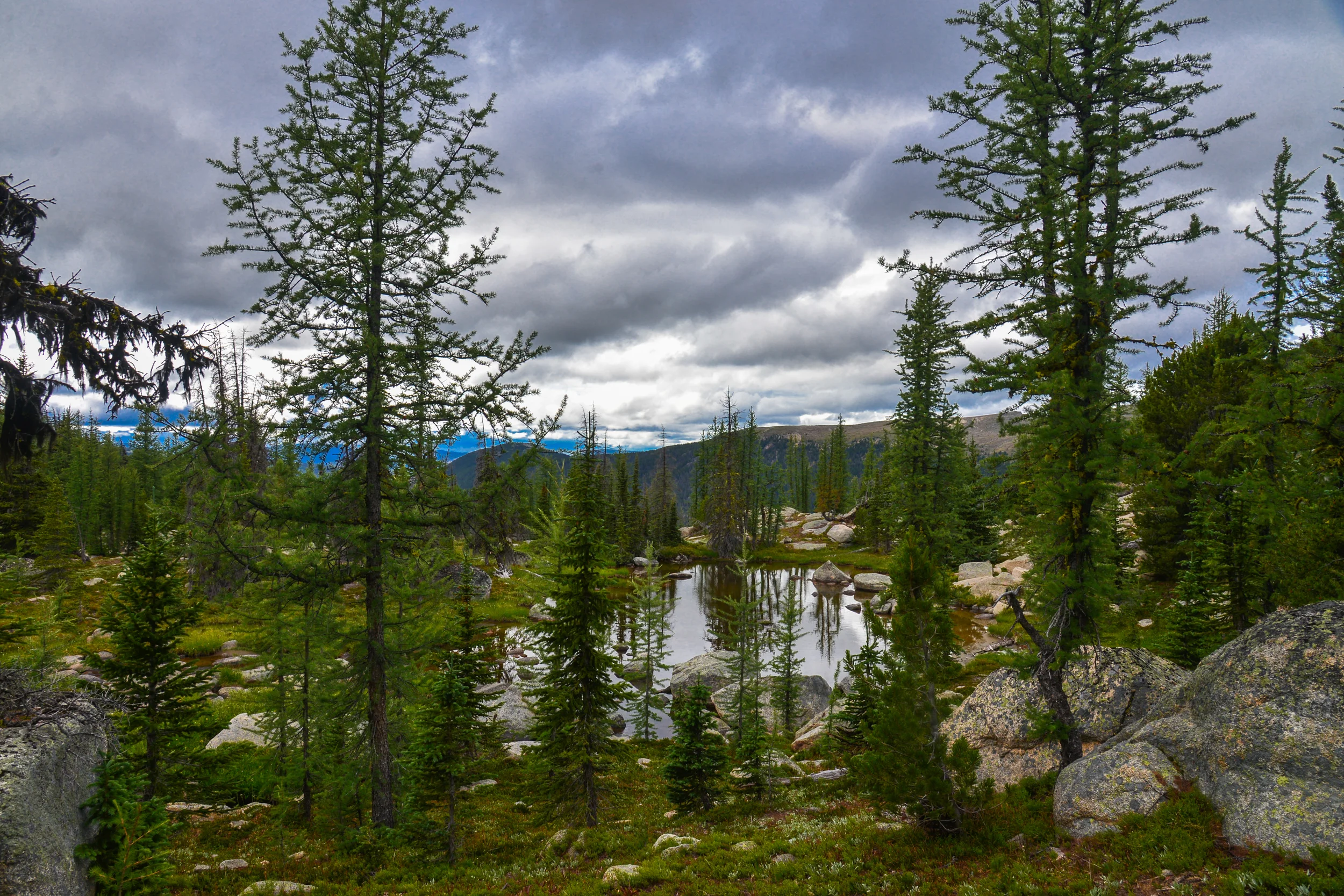 DSC_2782.jpg
