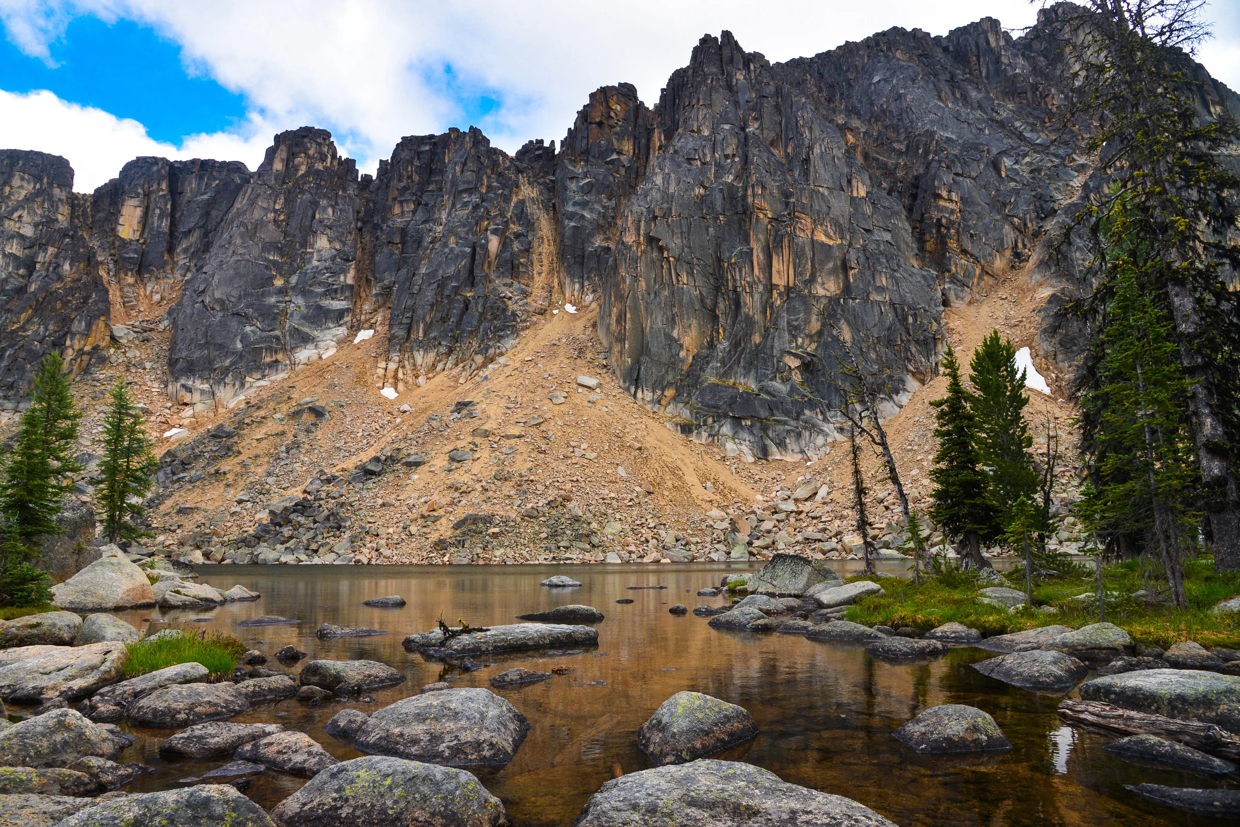 DSC_2784.jpg