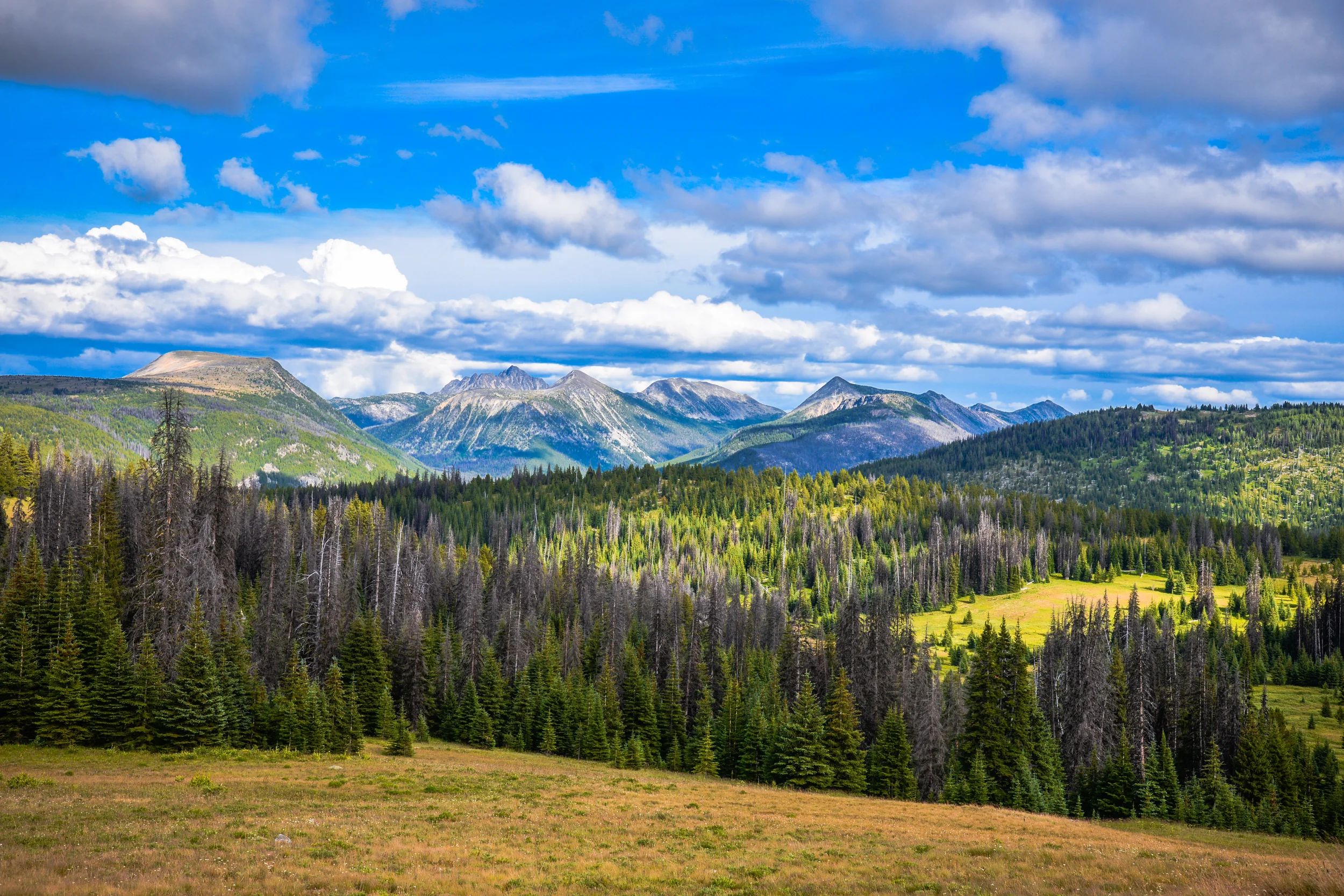 DSC_2820.jpg