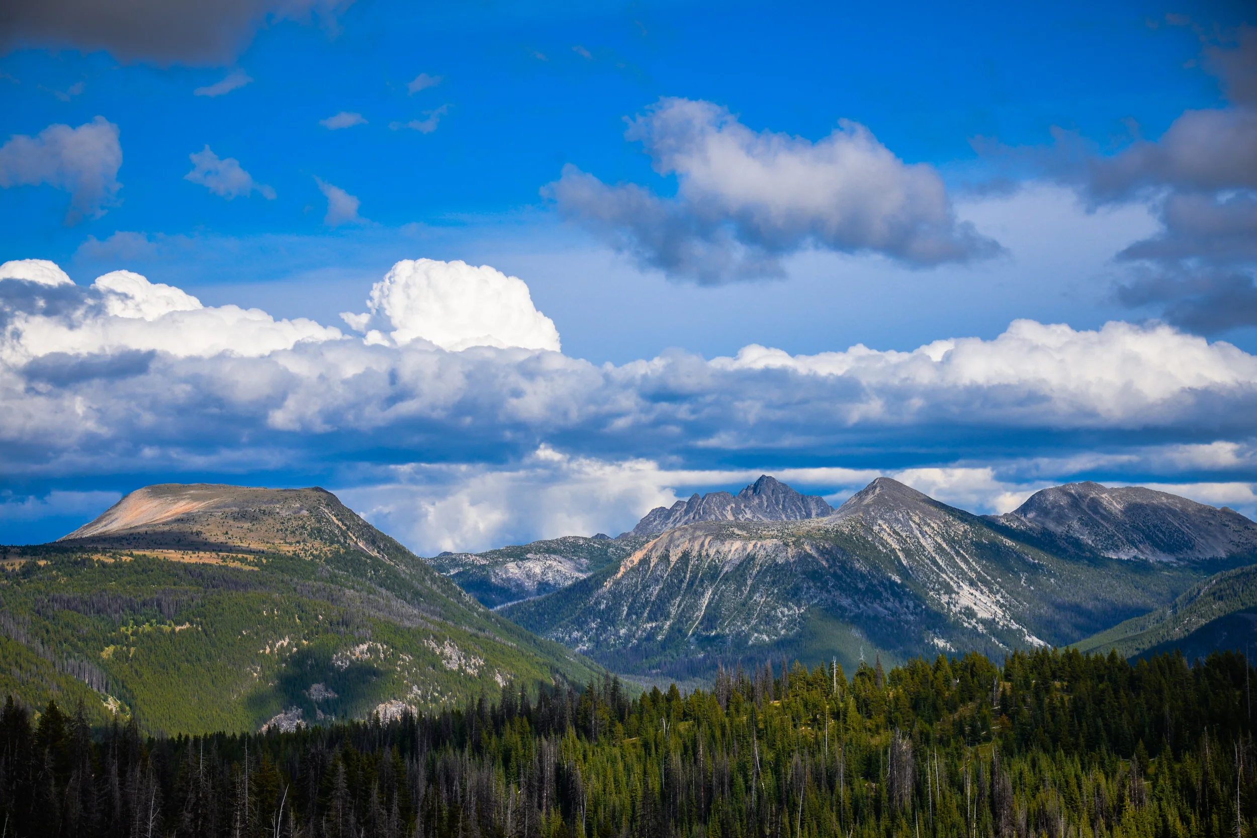 DSC_2822.jpg