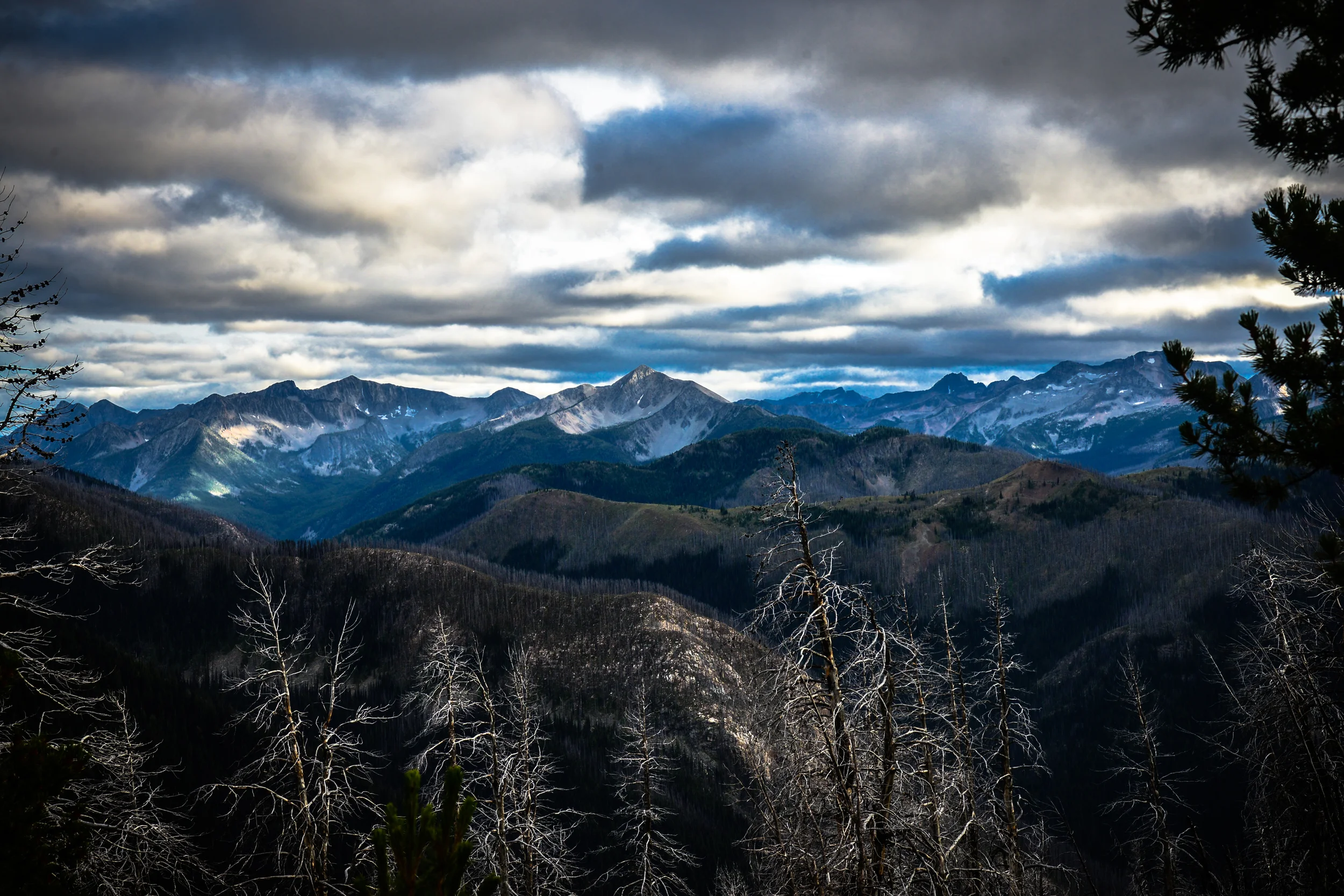 DSC_2841.jpg
