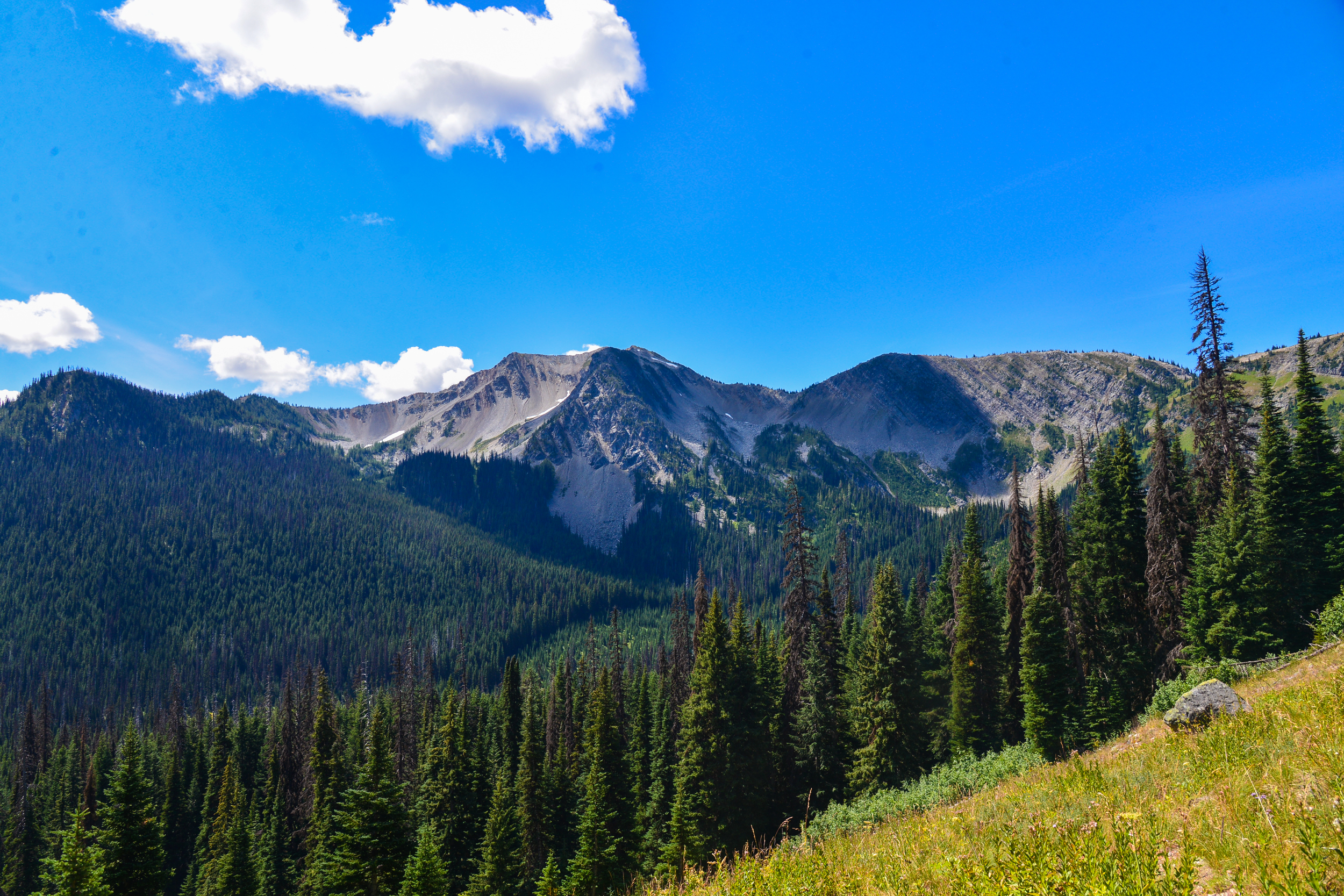 DSC_2884.jpg
