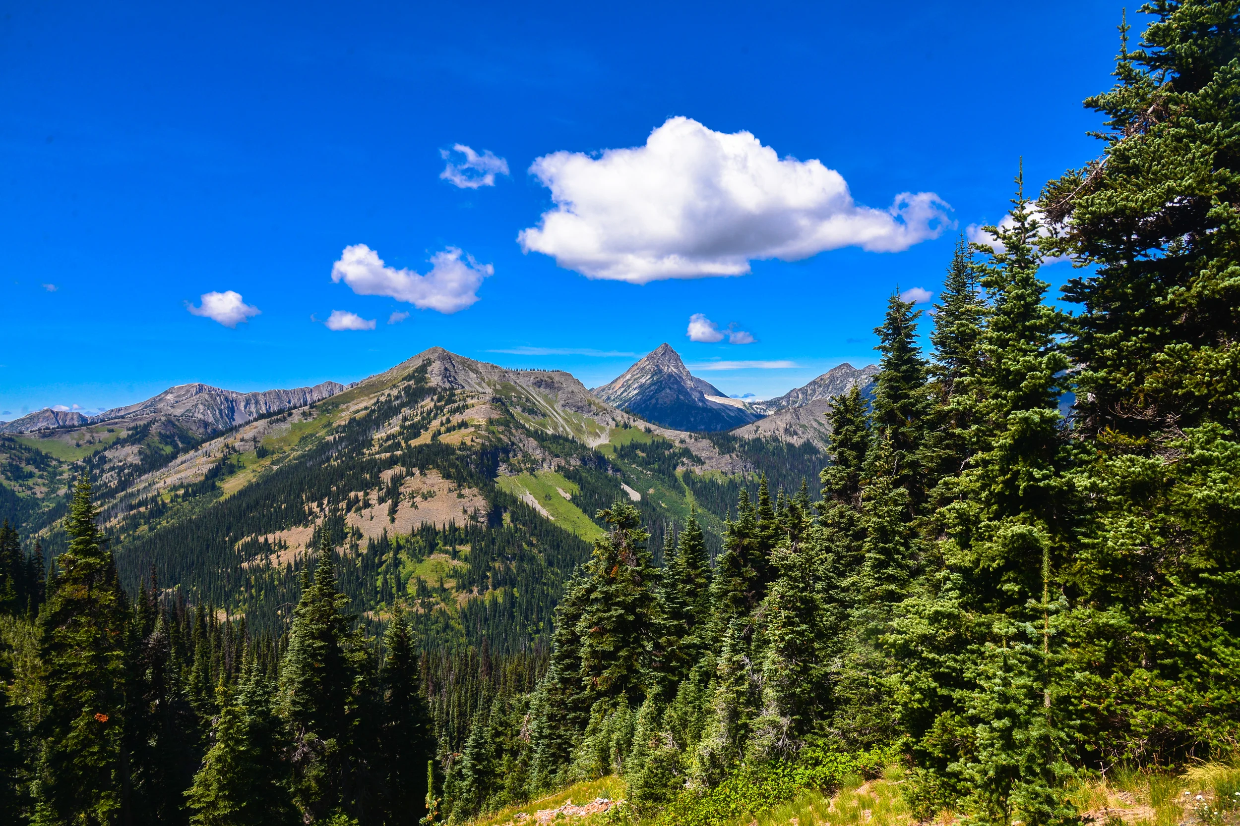 DSC_2897.jpg