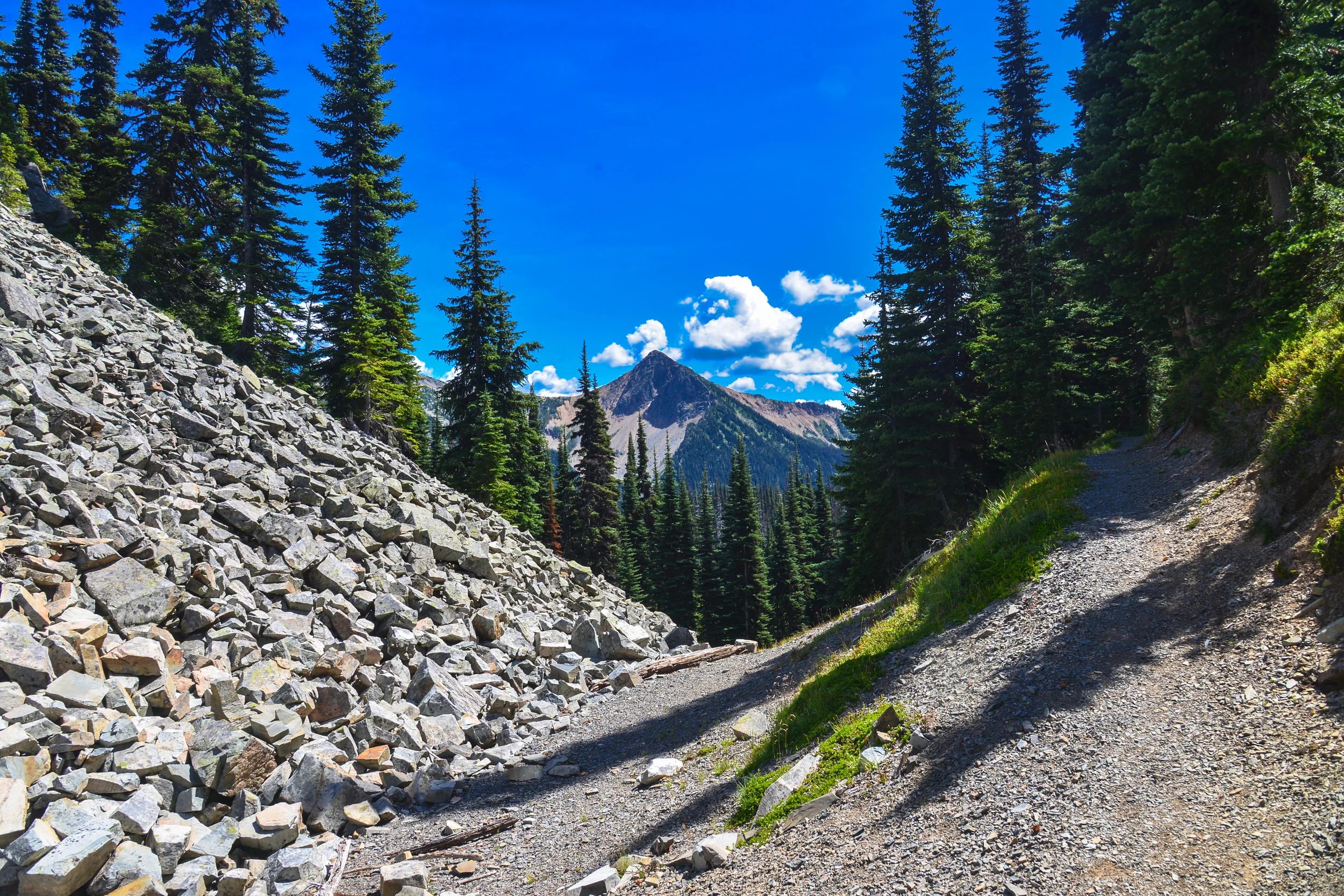 DSC_2906.jpg