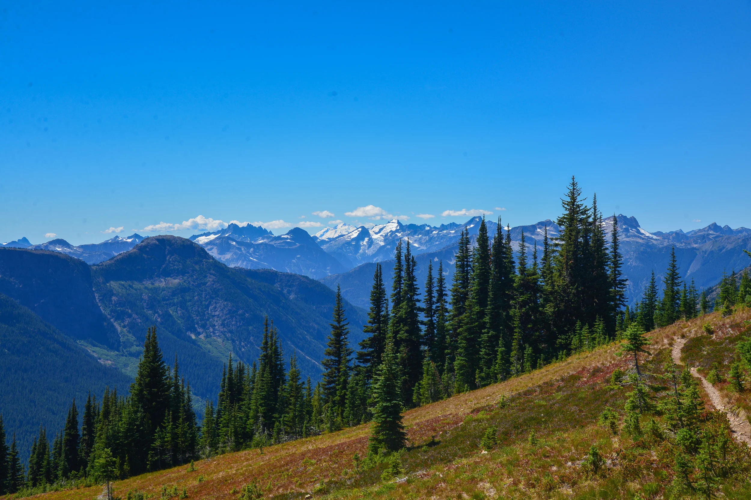 DSC_2990.jpg