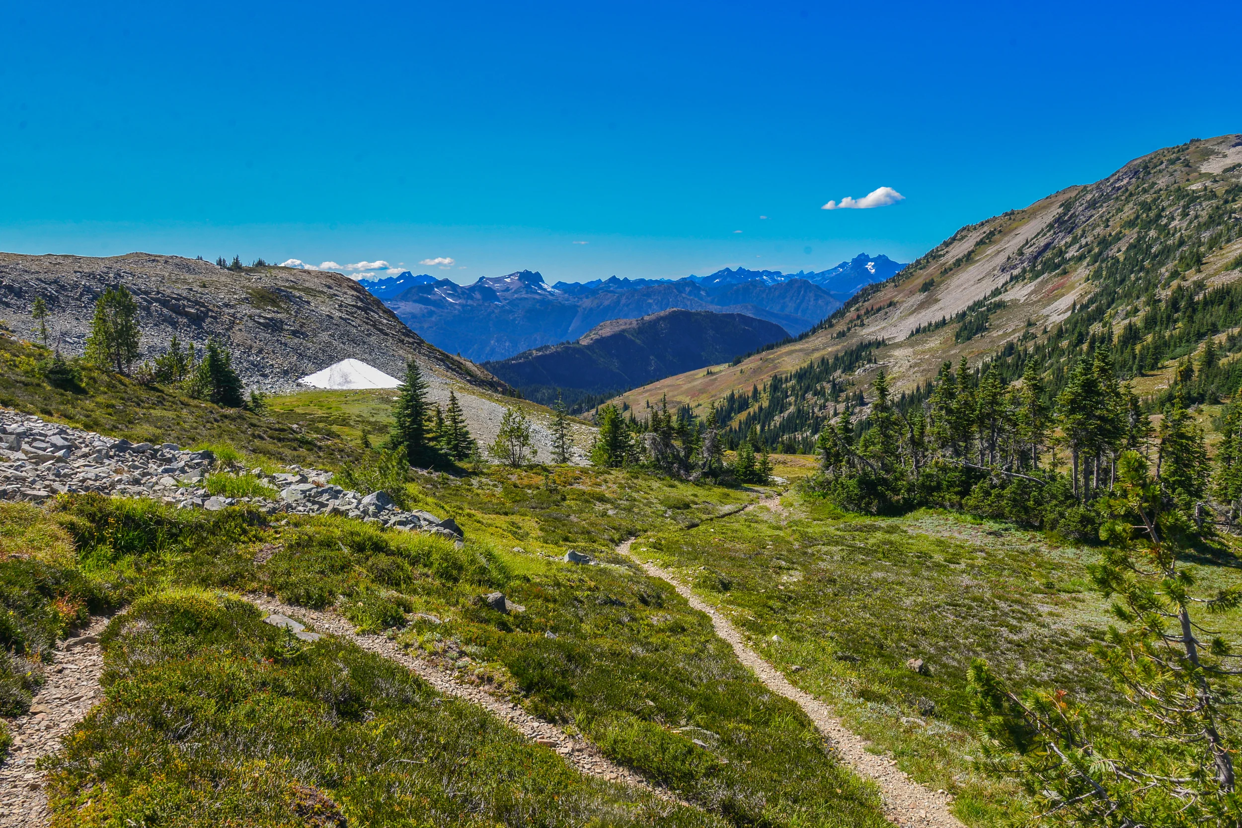 DSC_3005.jpg