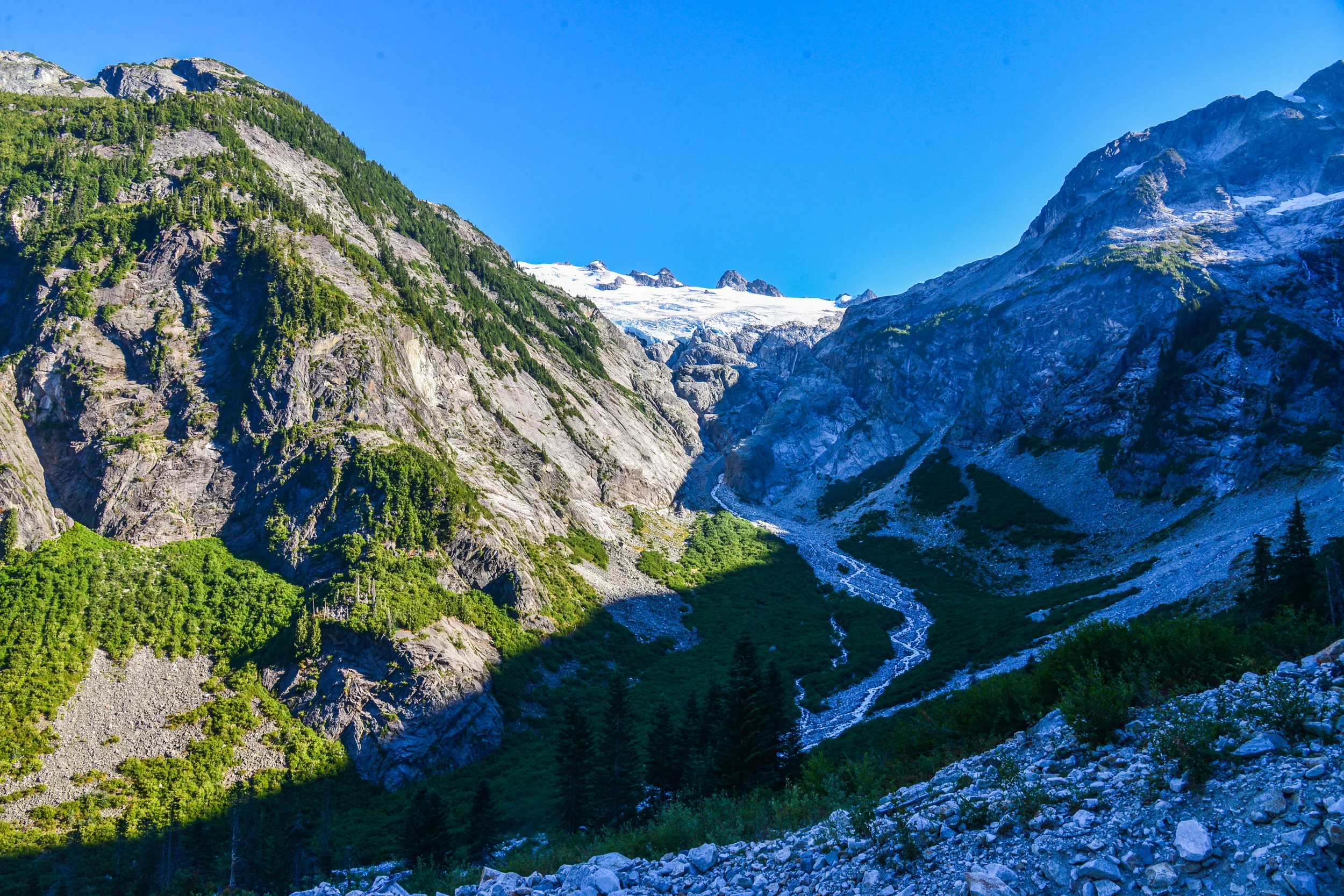 DSC_3101.jpg