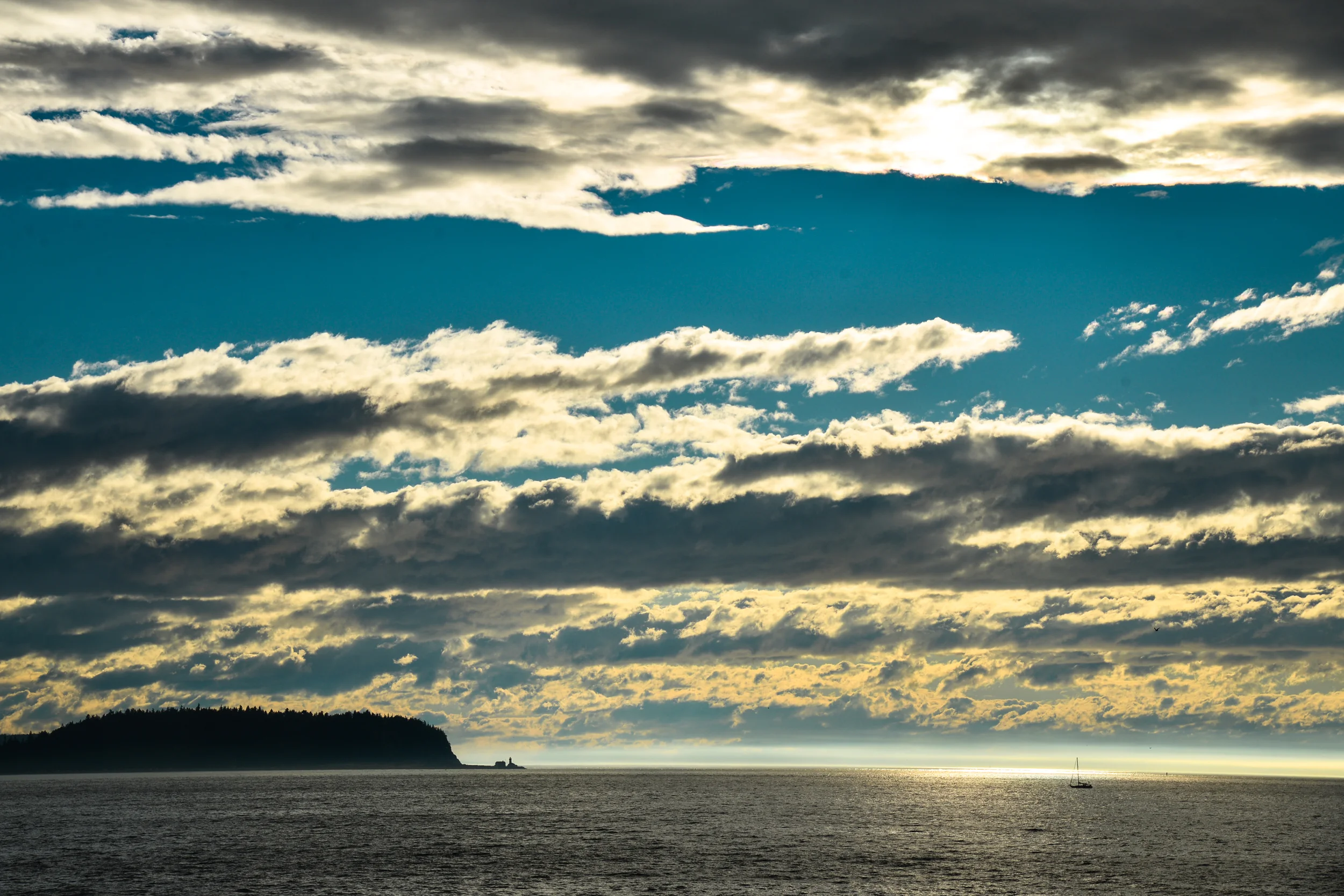 DSC_3447.jpg