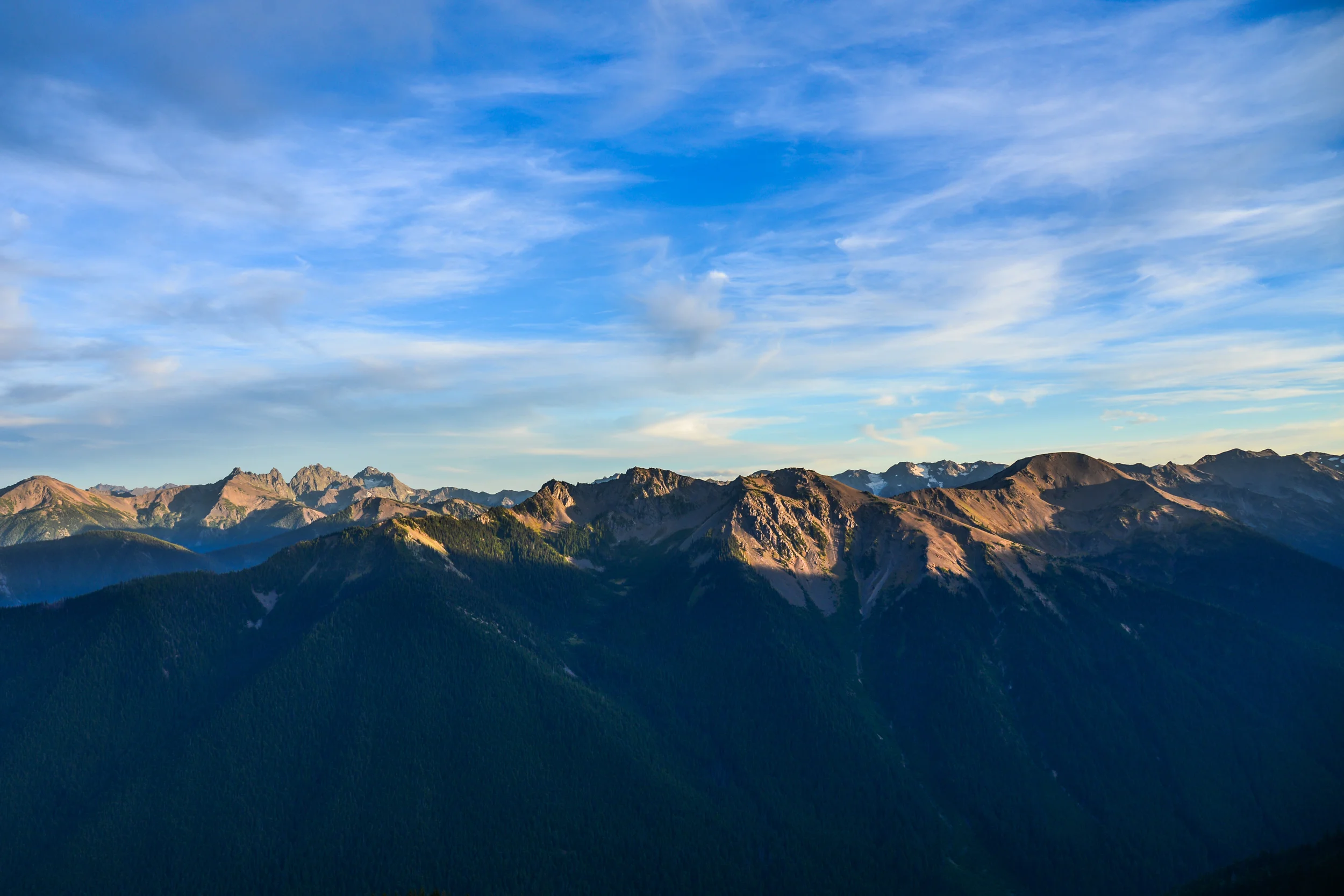 DSC_3492.jpg