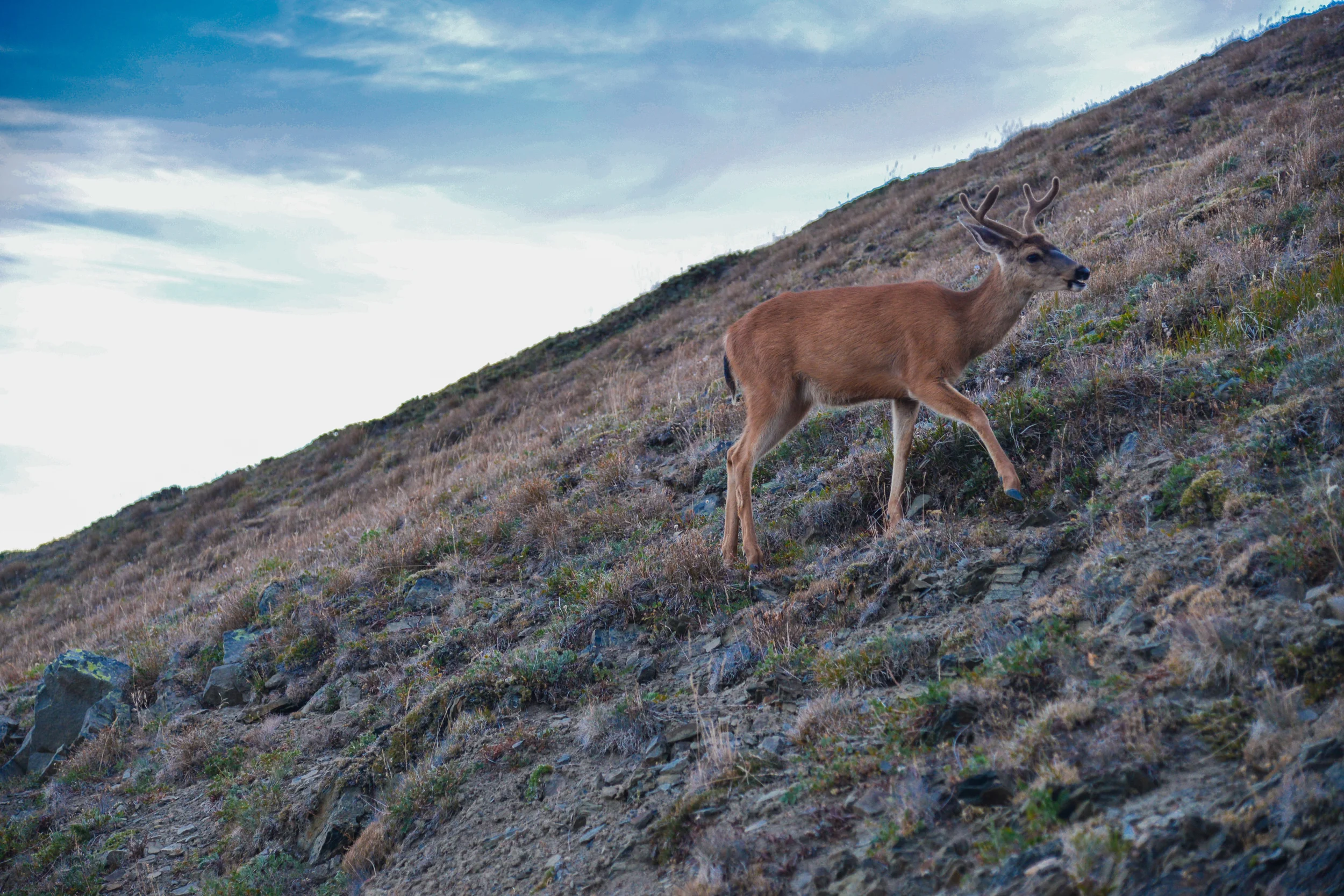 DSC_3497.jpg