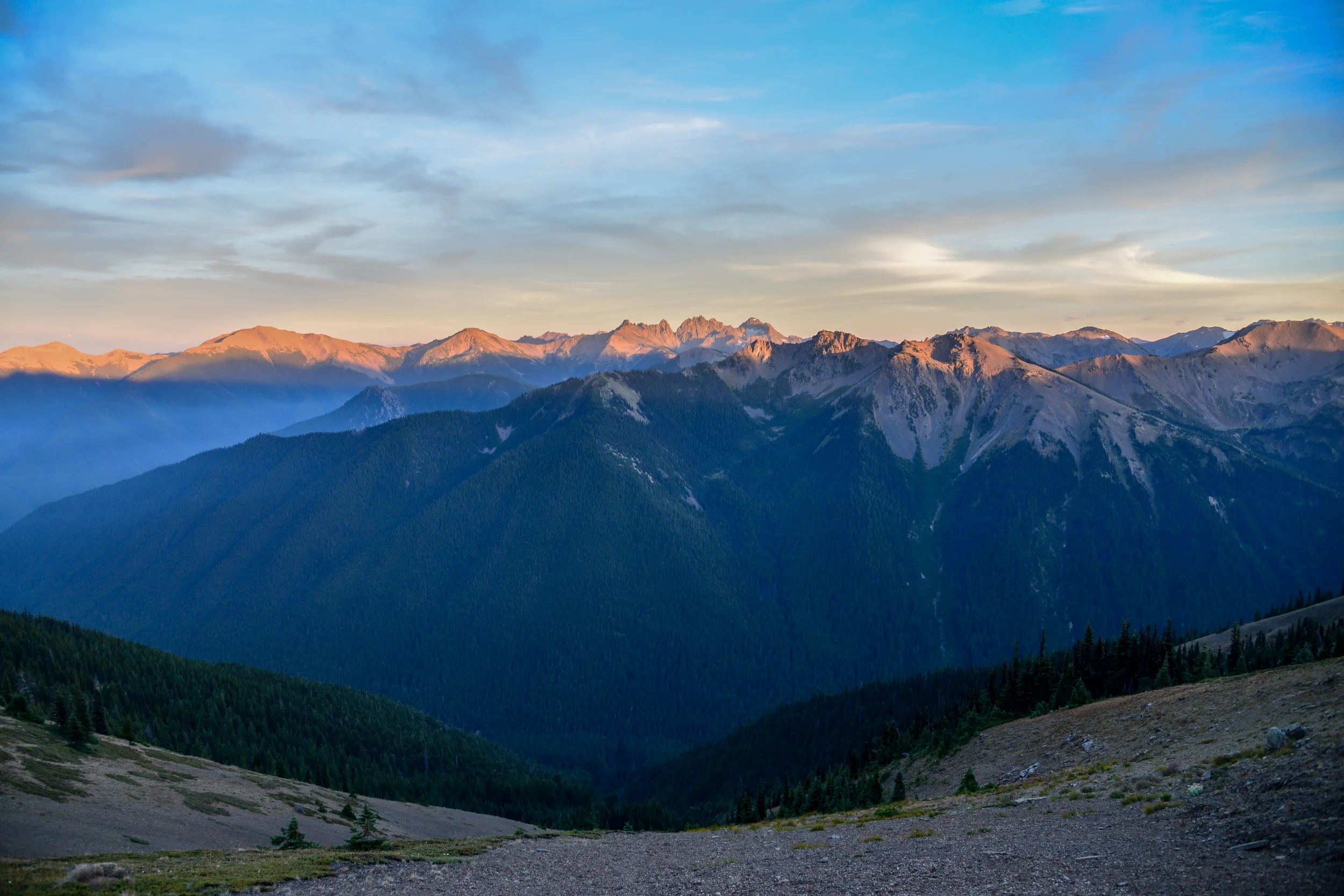 DSC_3508.jpg