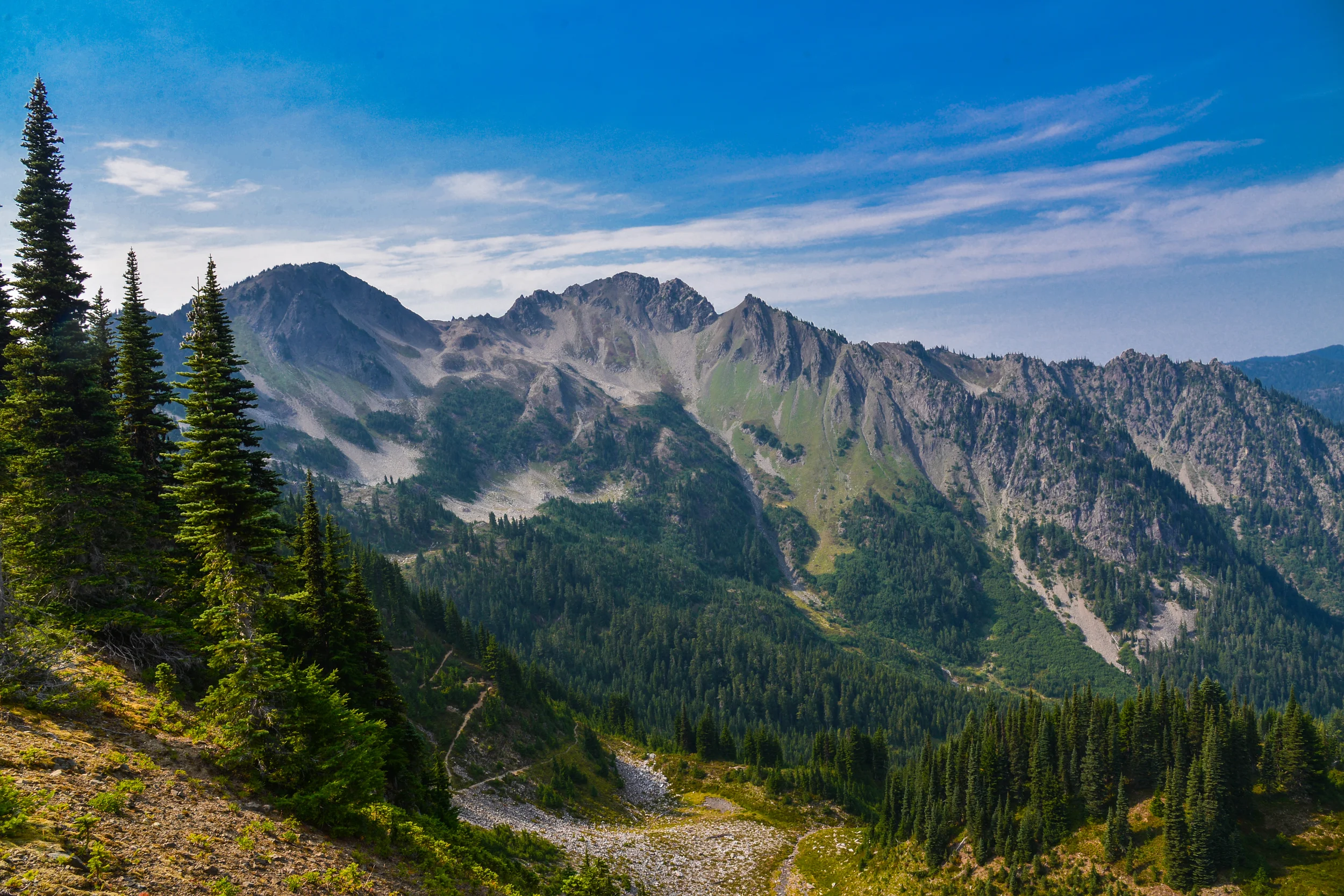 DSC_3622.jpg