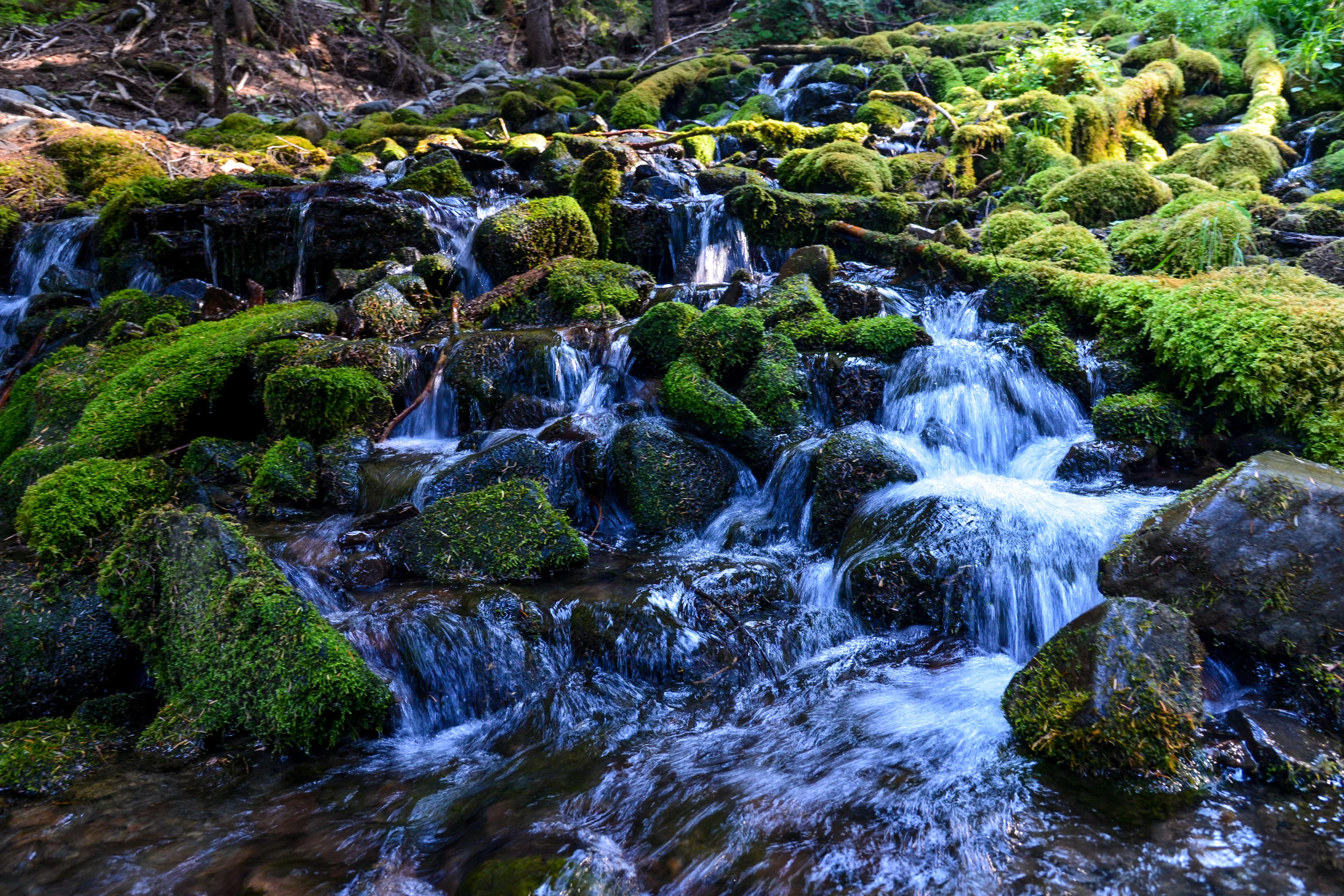 DSC_3680.jpg