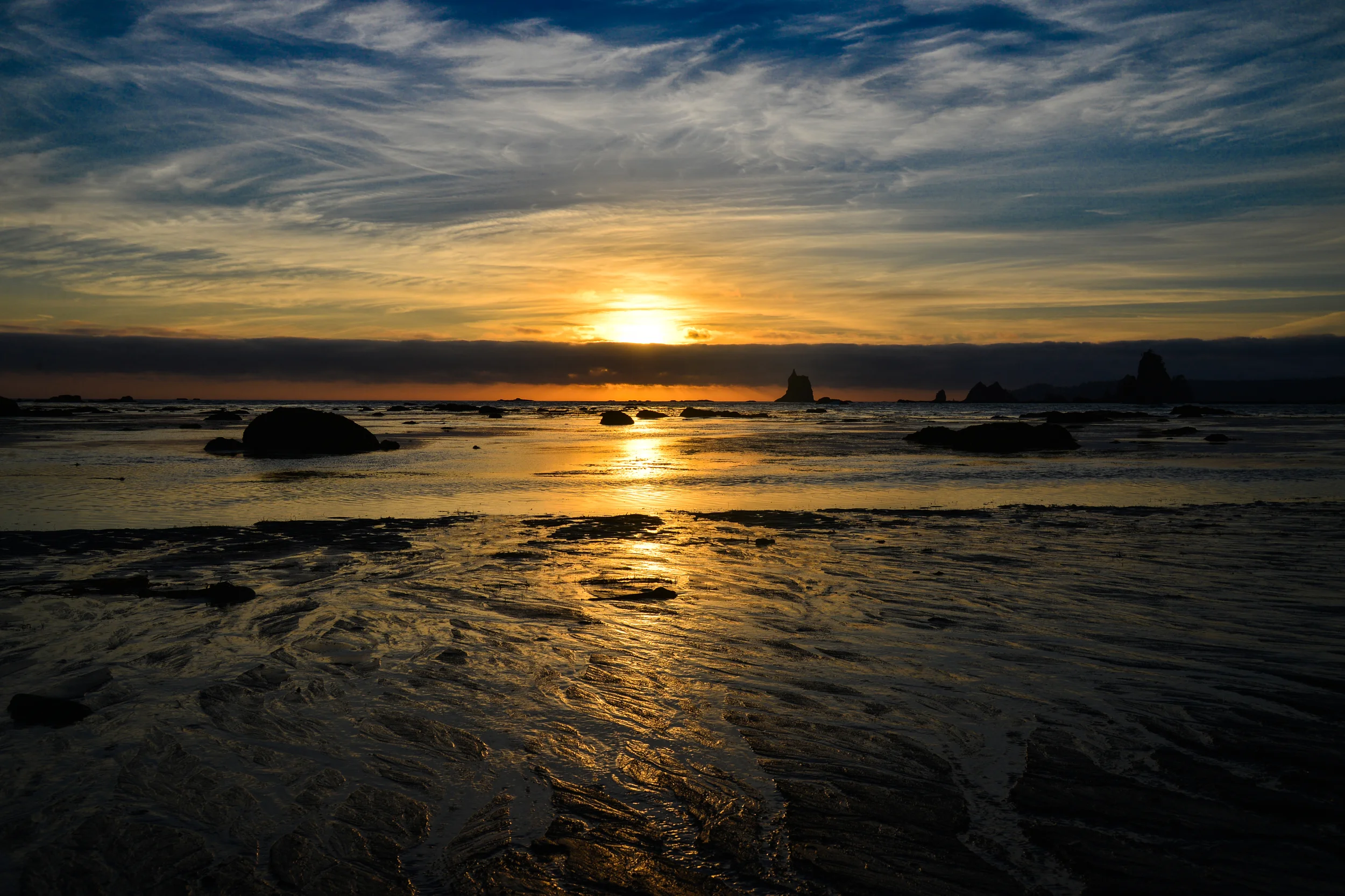 DSC_3979.jpg