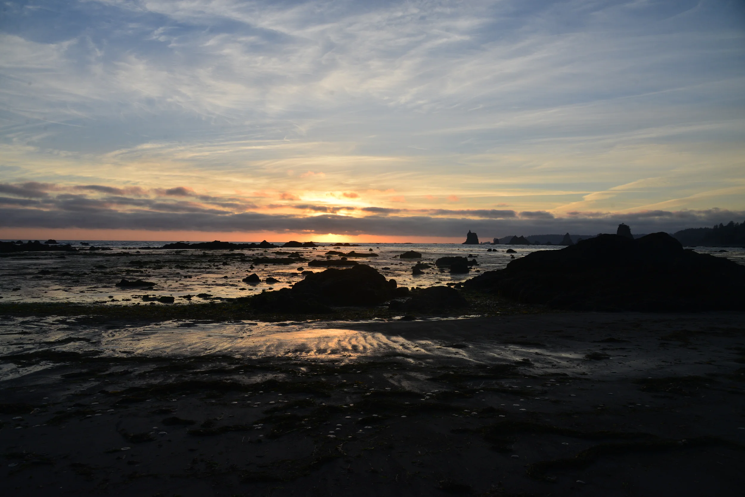 DSC_3984.jpg