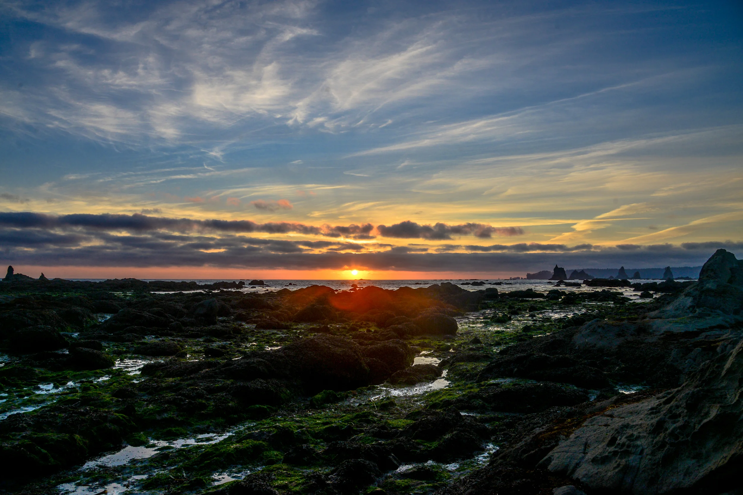 DSC_3994.jpg