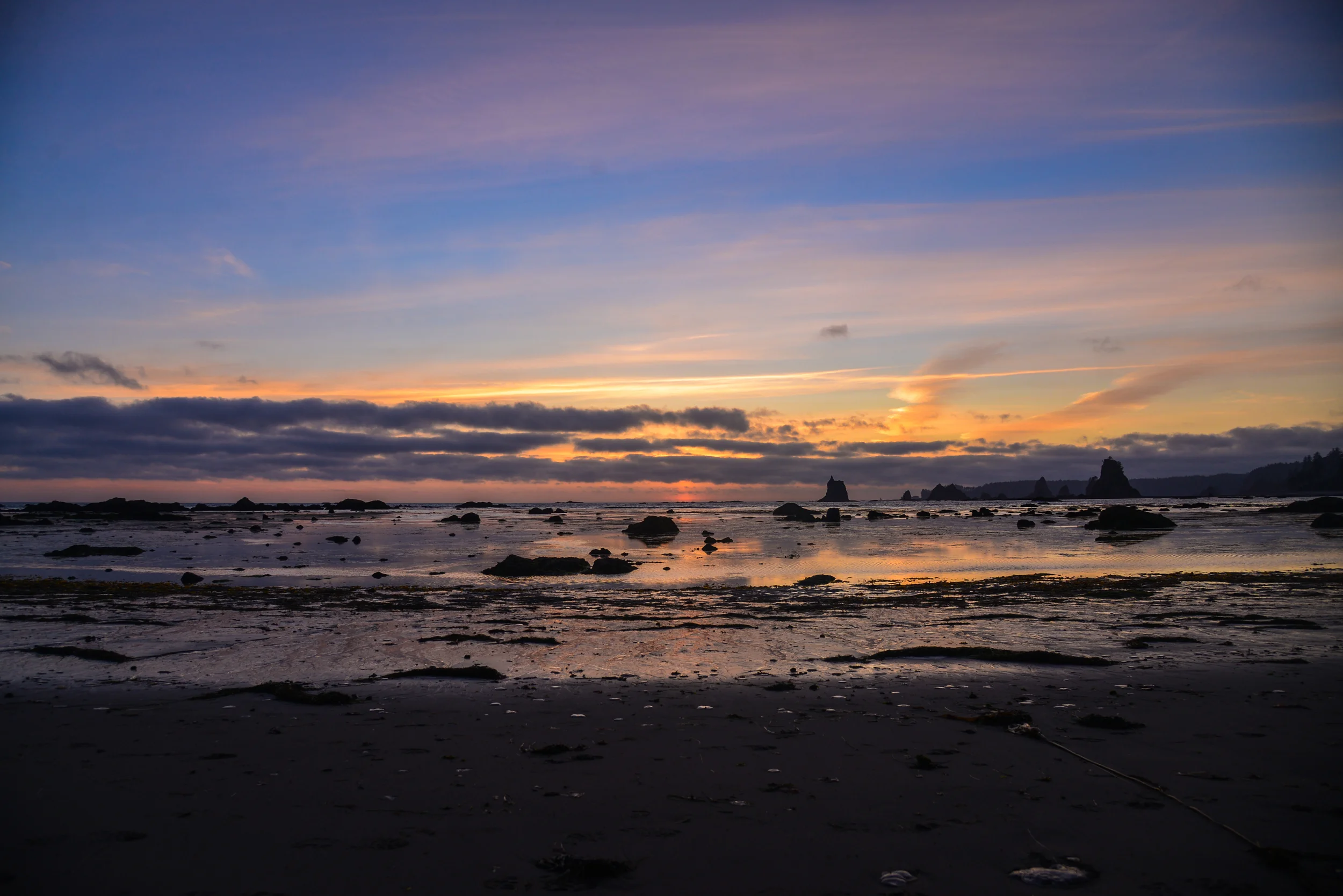DSC_4009.jpg