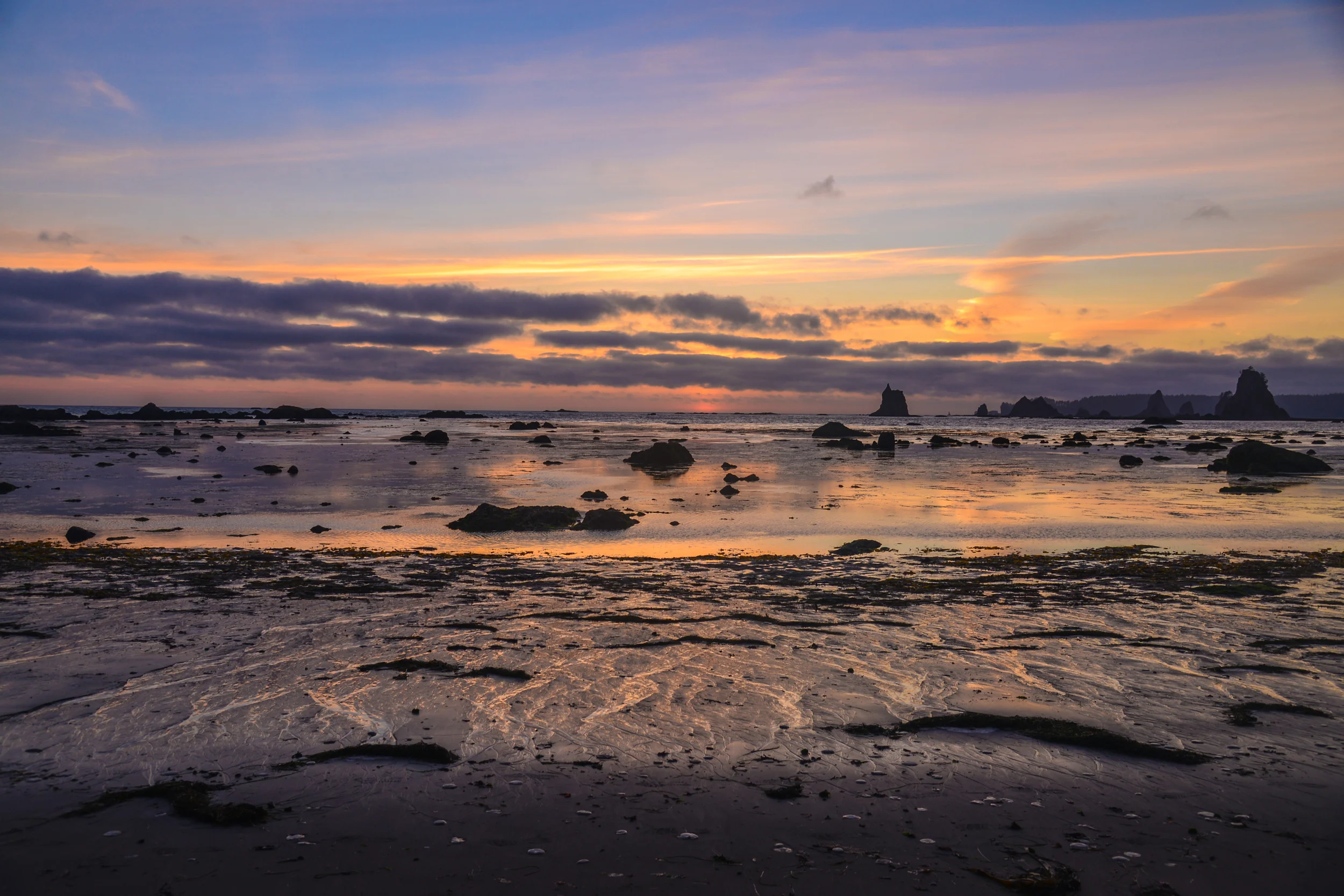 DSC_4011.jpg