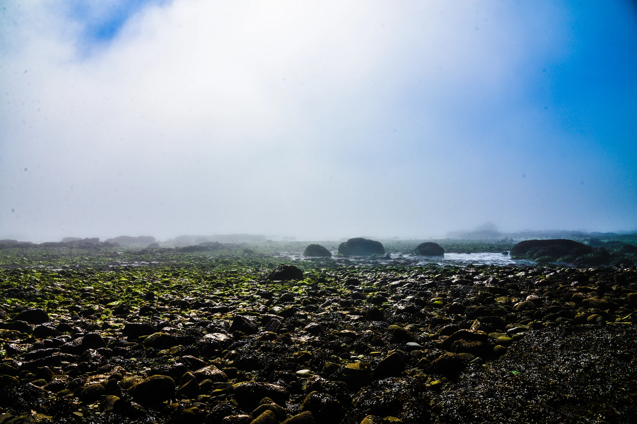 DSC_4067.jpg