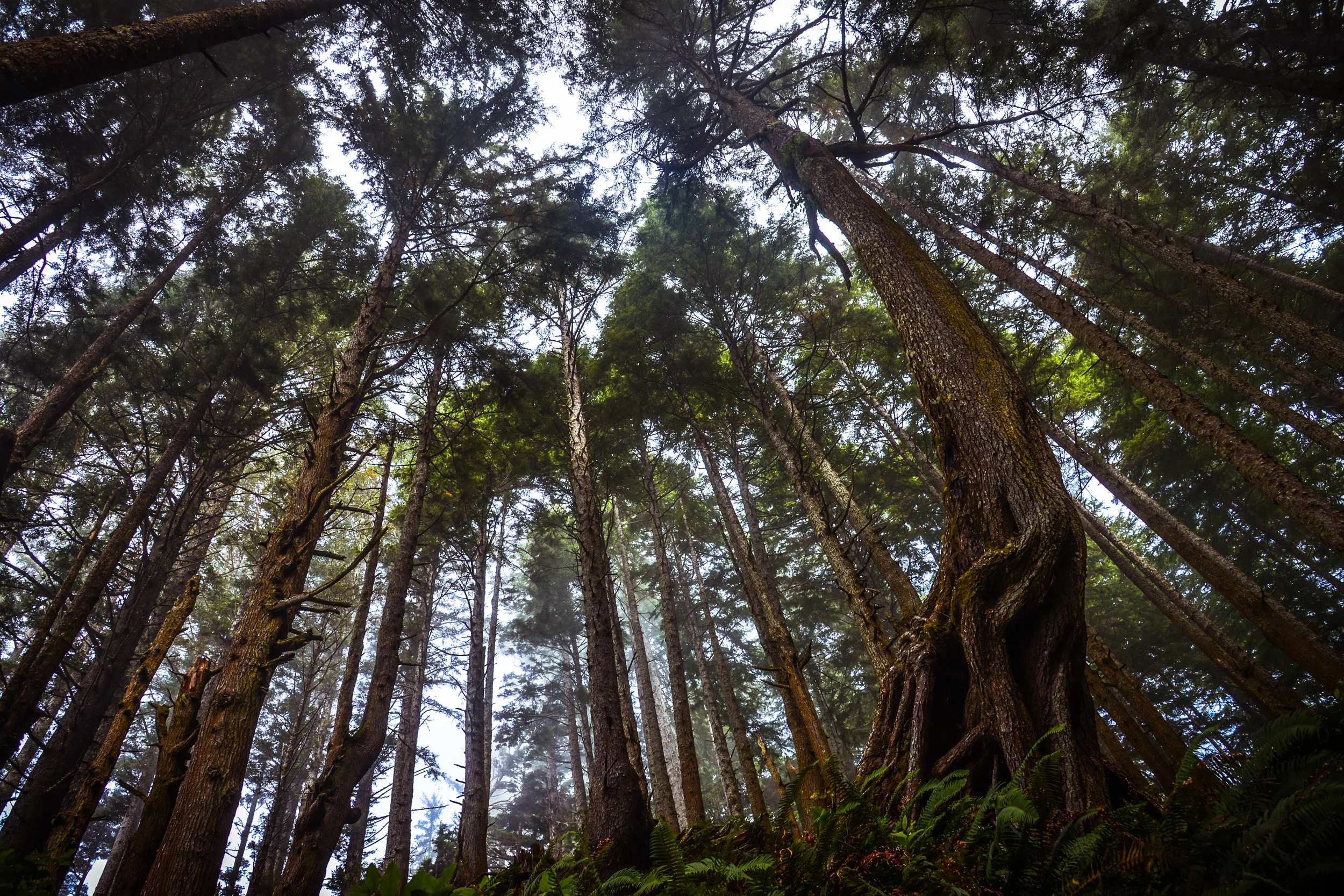 DSC_4083.jpg