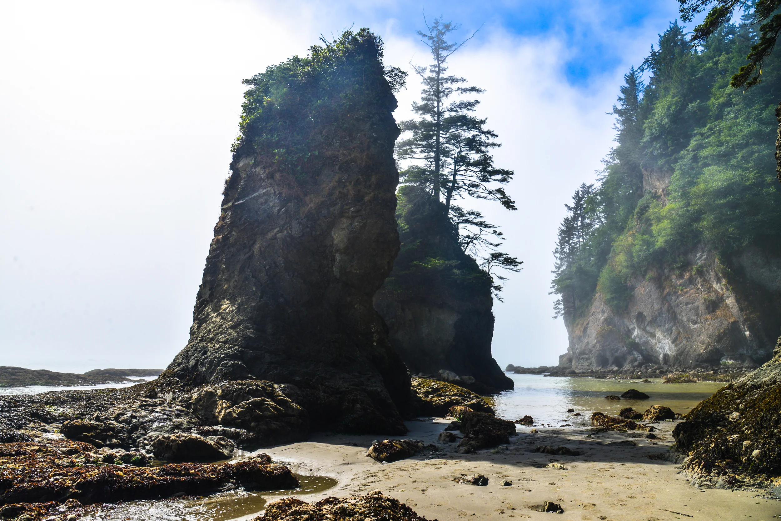 DSC_4095.jpg