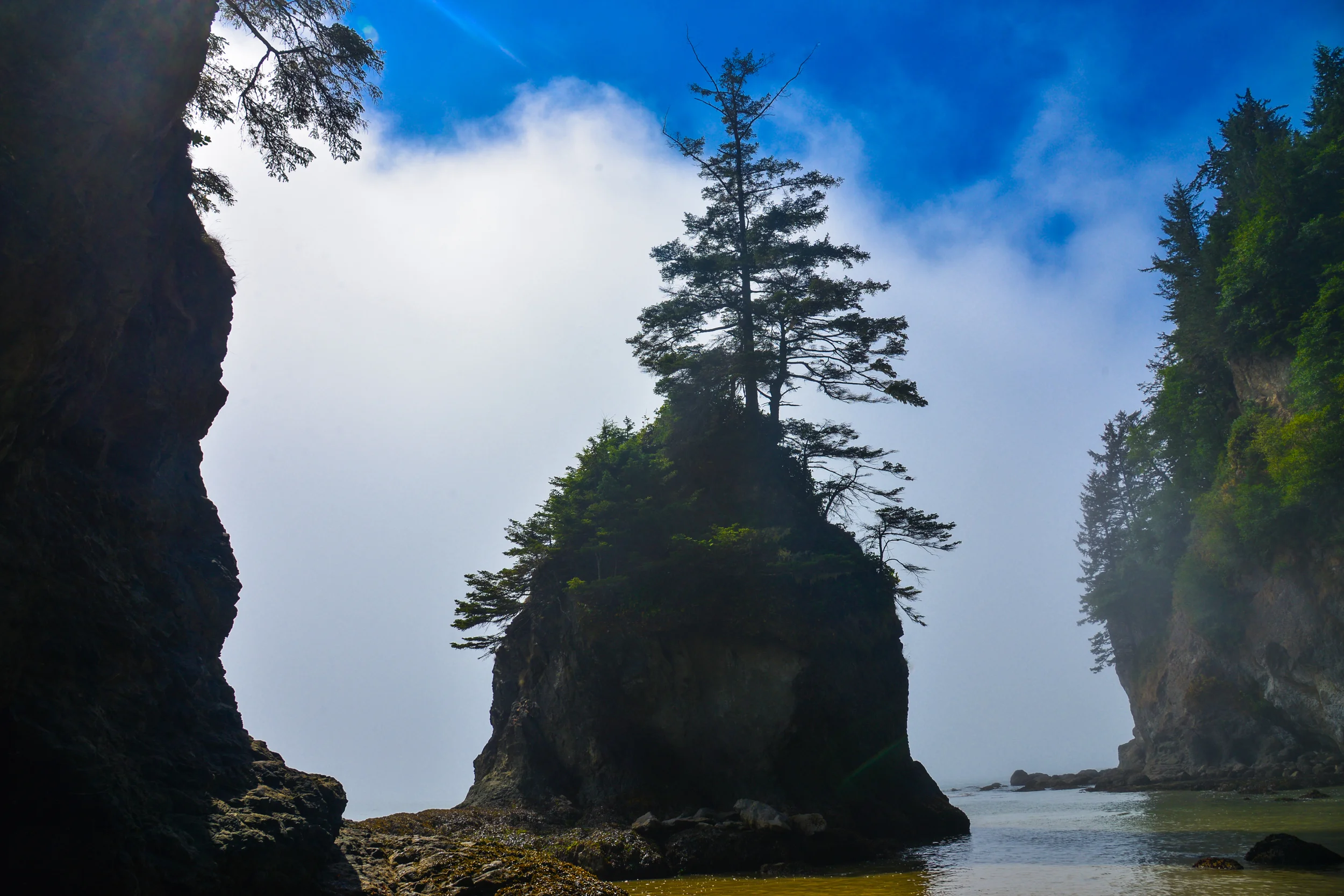 DSC_4096.jpg