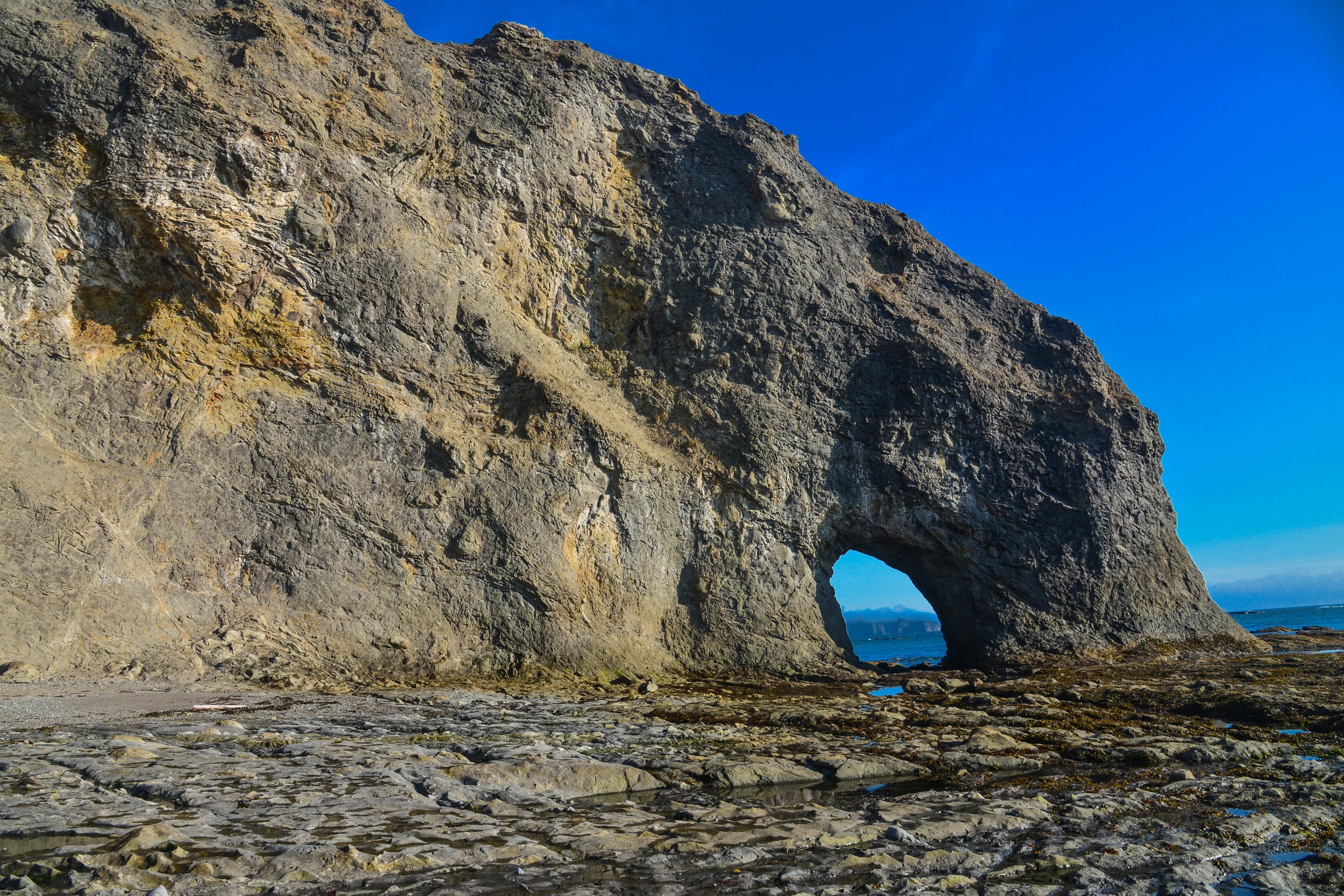 DSC_4171.jpg